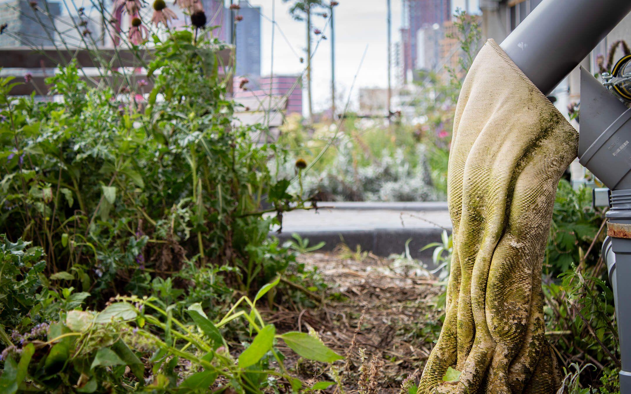 Urban Reef currently has multiple prototypes in production, including a downspout design, which stores rainwater, reducing runoff and creating humid micro-ecosystems.

Photo: Urban Reef