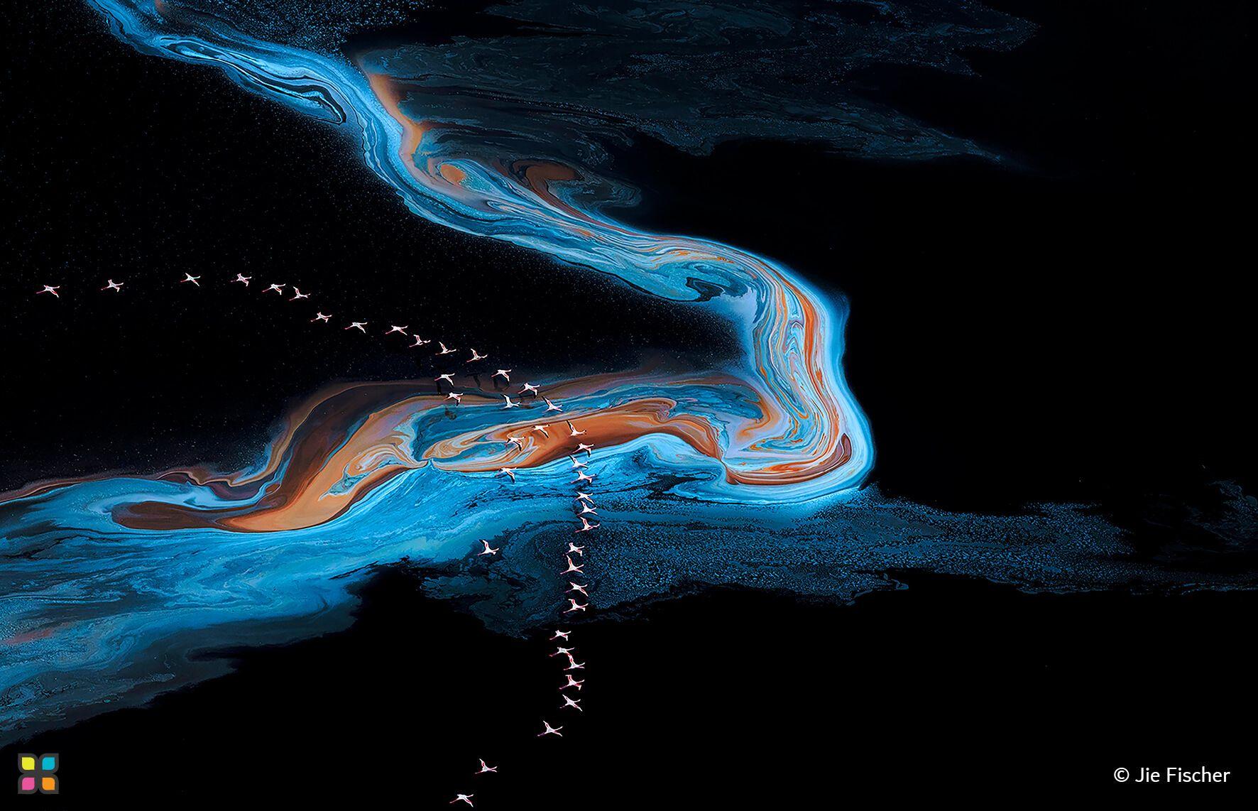 سرب من الألوان الساحرة