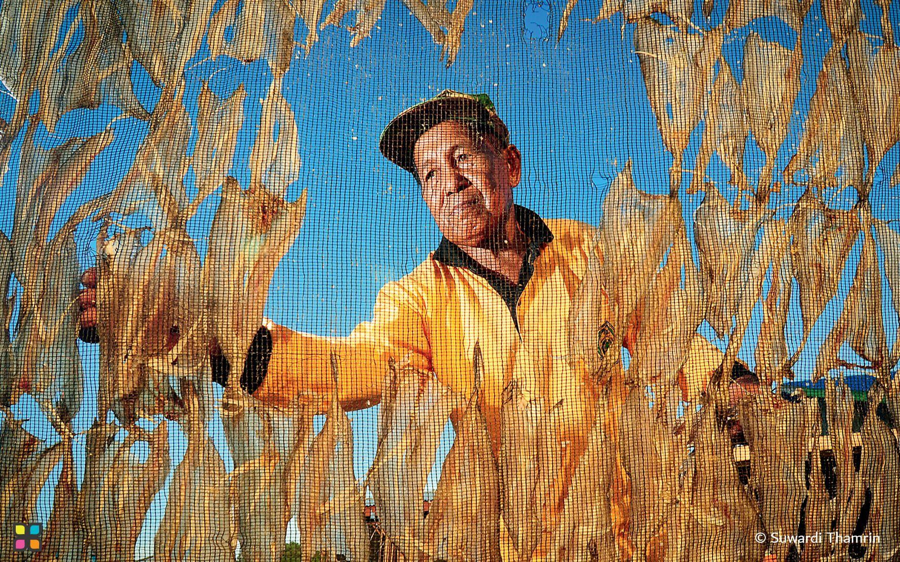 الحفاظ على أساليب الحياة الأصيلة