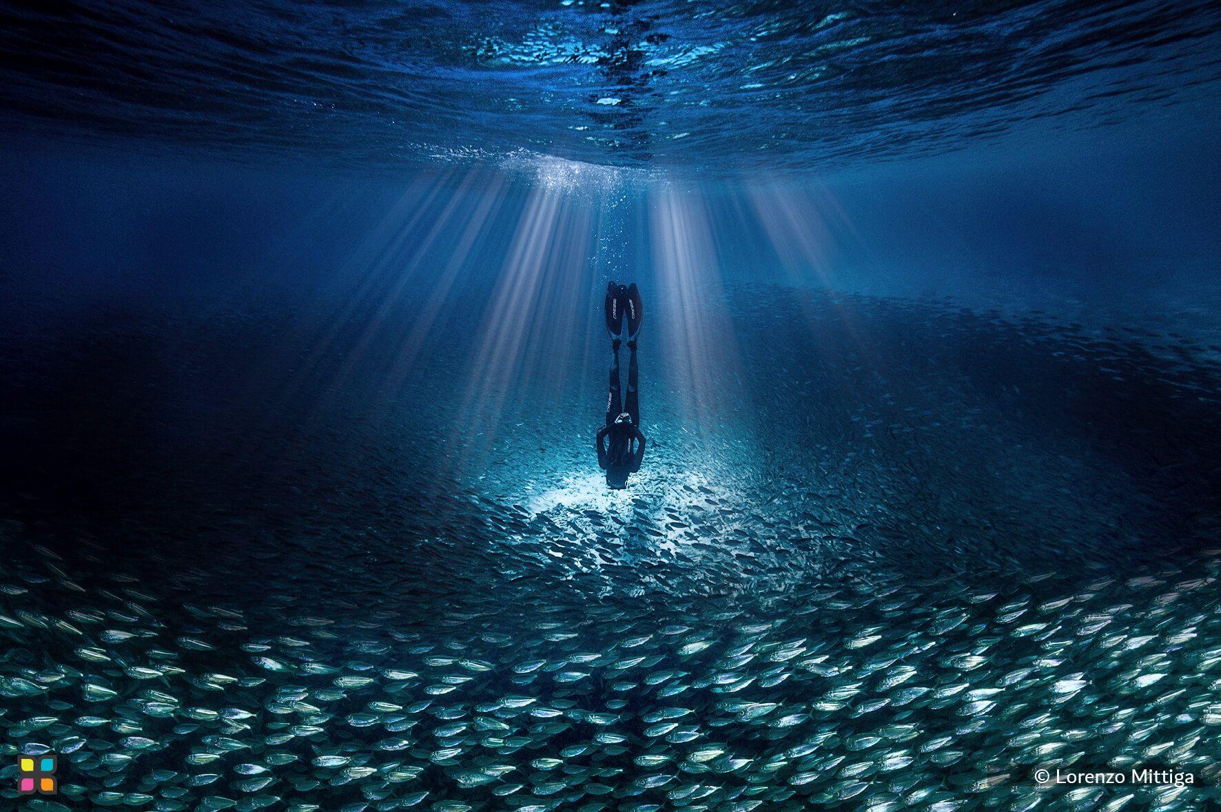 رحم الأرض الأزرق