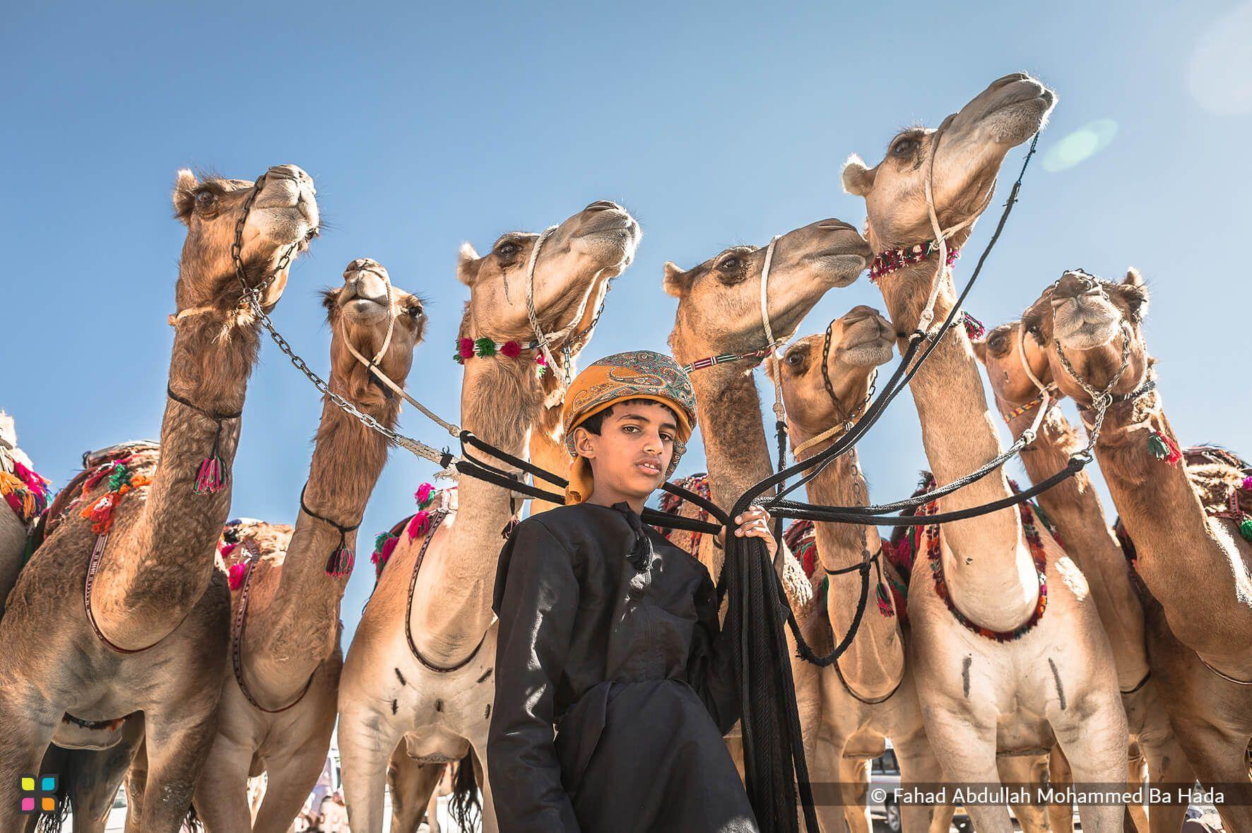 The Reins of the Future