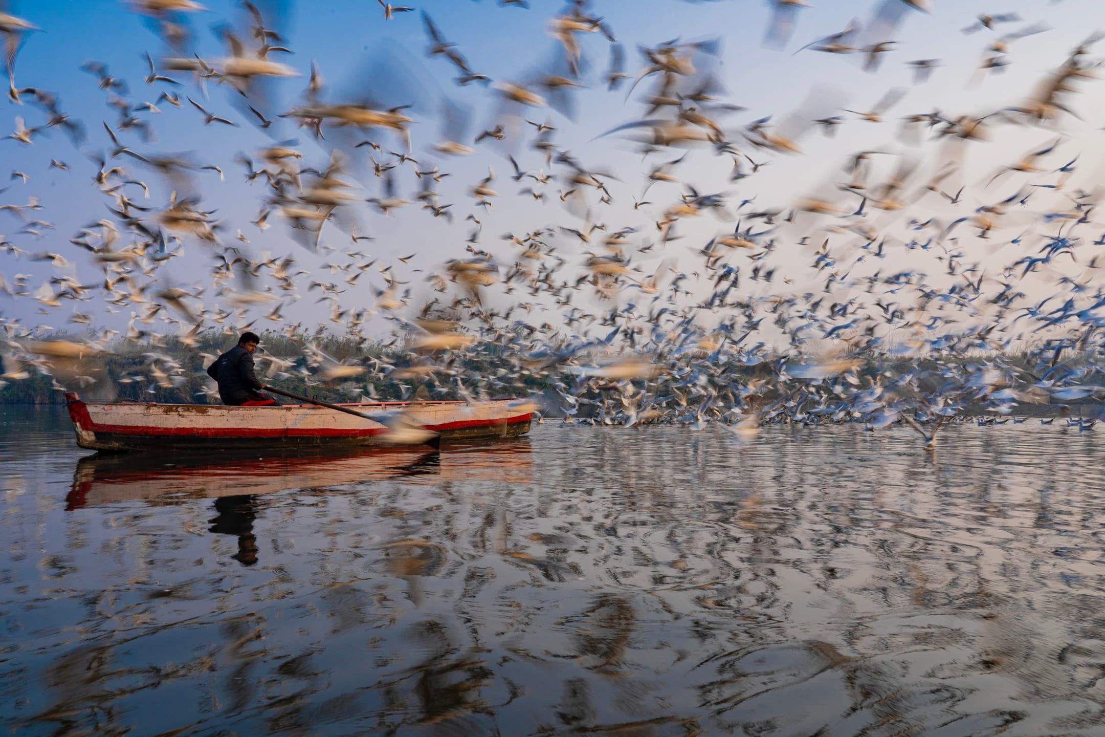 A Blessing from the Skies