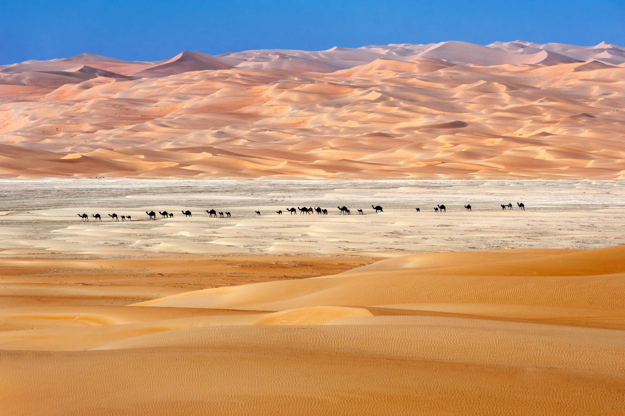 تدرّجات ألوان الصحراء