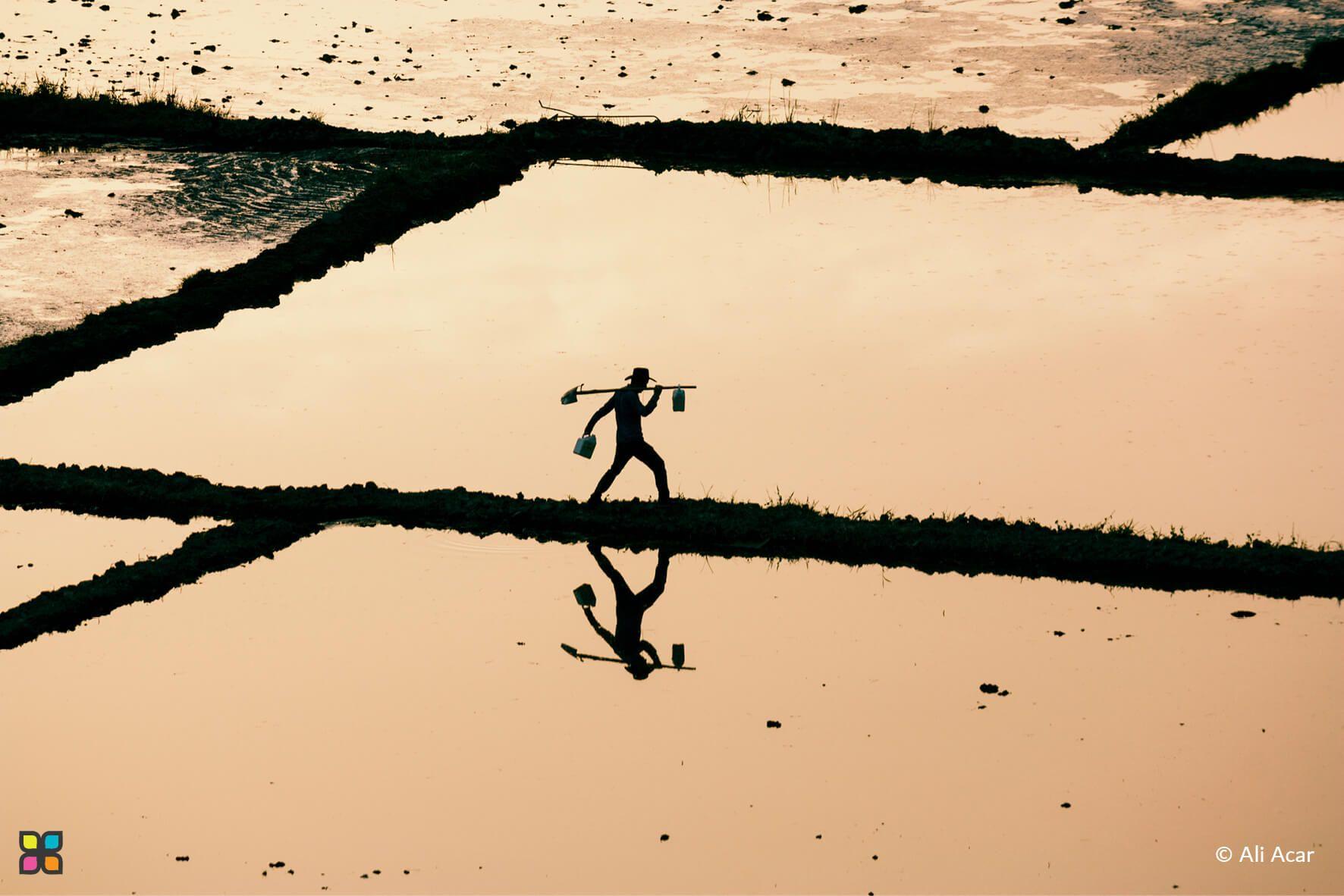 Cultivating hope