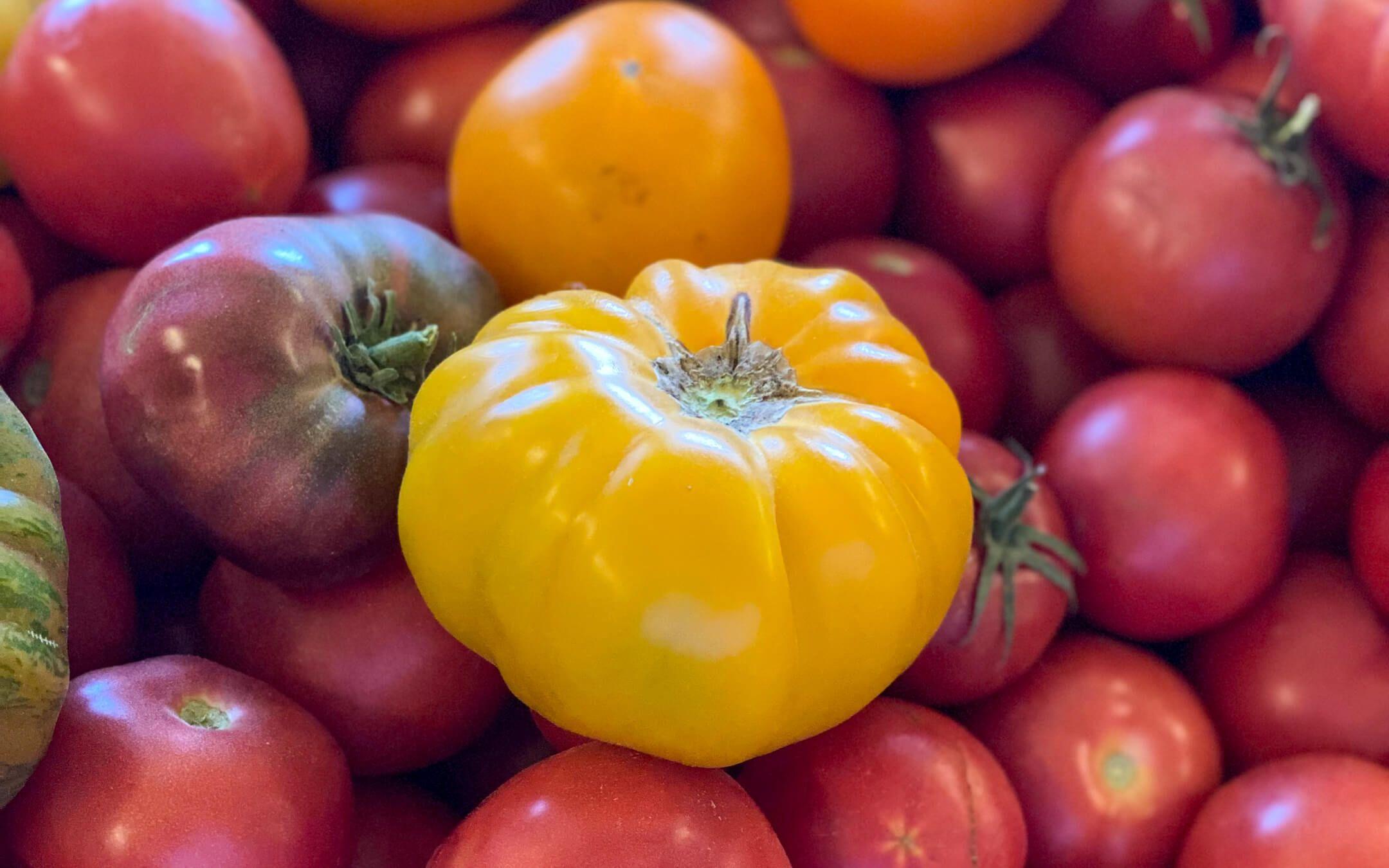 منتجات مختلفة الأشكال من مزرعته العضوية 
المصدر: سعيد الرميثي