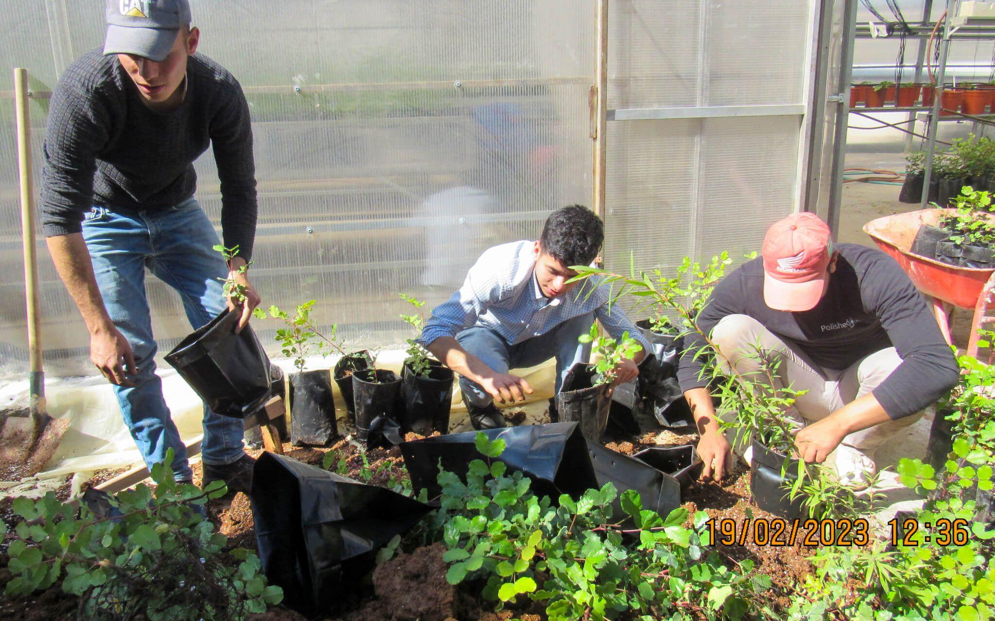 التعرف علي النبايات الأصيلة وتعليم عملية التشتيل للنباتات الأصيلة
المصدر: إلهام العبادي