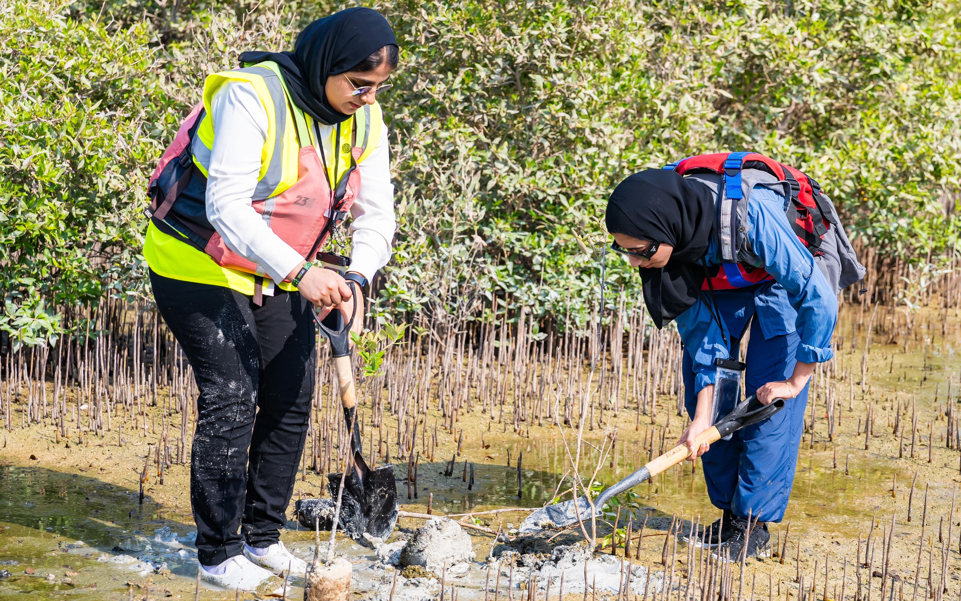 فاطمة الحمادي أثناء مشاركتها في فعالية زراعة أشجار القرم للاحتفاء بيوم العمل المناخي للشباب
 المصدر: فاطمة الحمادي