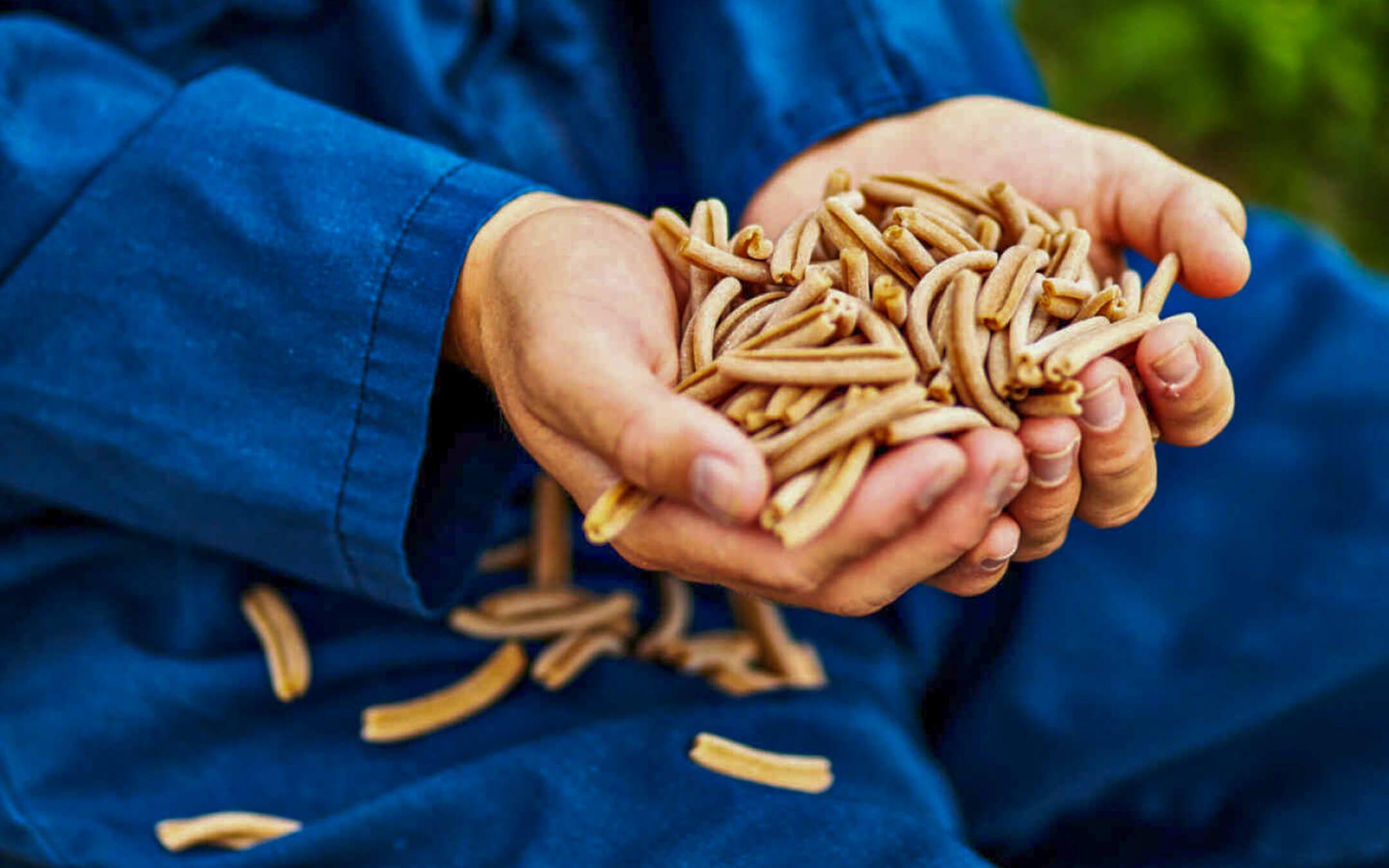 No Bread, No Waste, No Problem