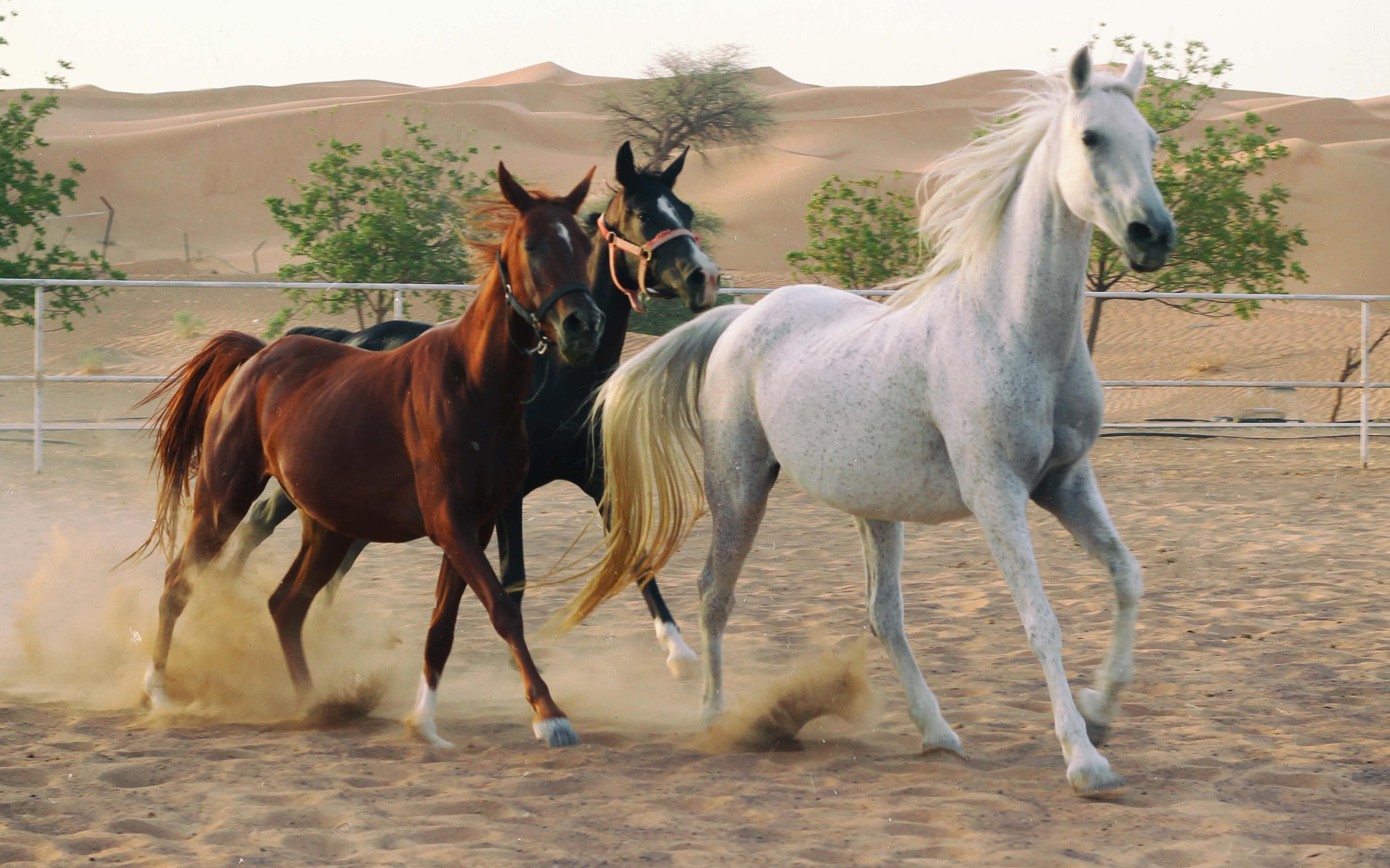 المصدر: ذا كلايمت ترايب