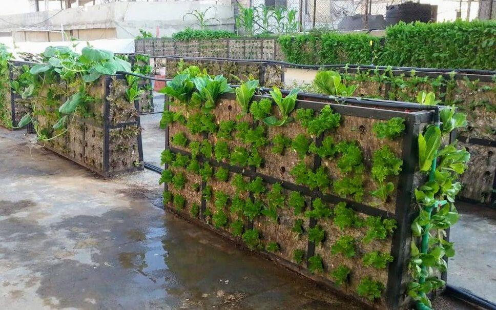 أحواض الزراعة العامودية العالية الإنتاجية مصنوعة من البلاستيك المعاد تدويره
المصدر: زياد أبي شاكر
