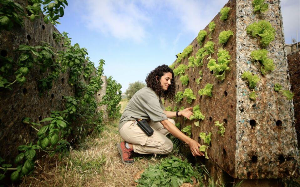 لبنانيون اتجهوا لاستخدام الزراعة العمودية لمواجهة الأزمة المالية
المصدر: زياد أبي شاكر
