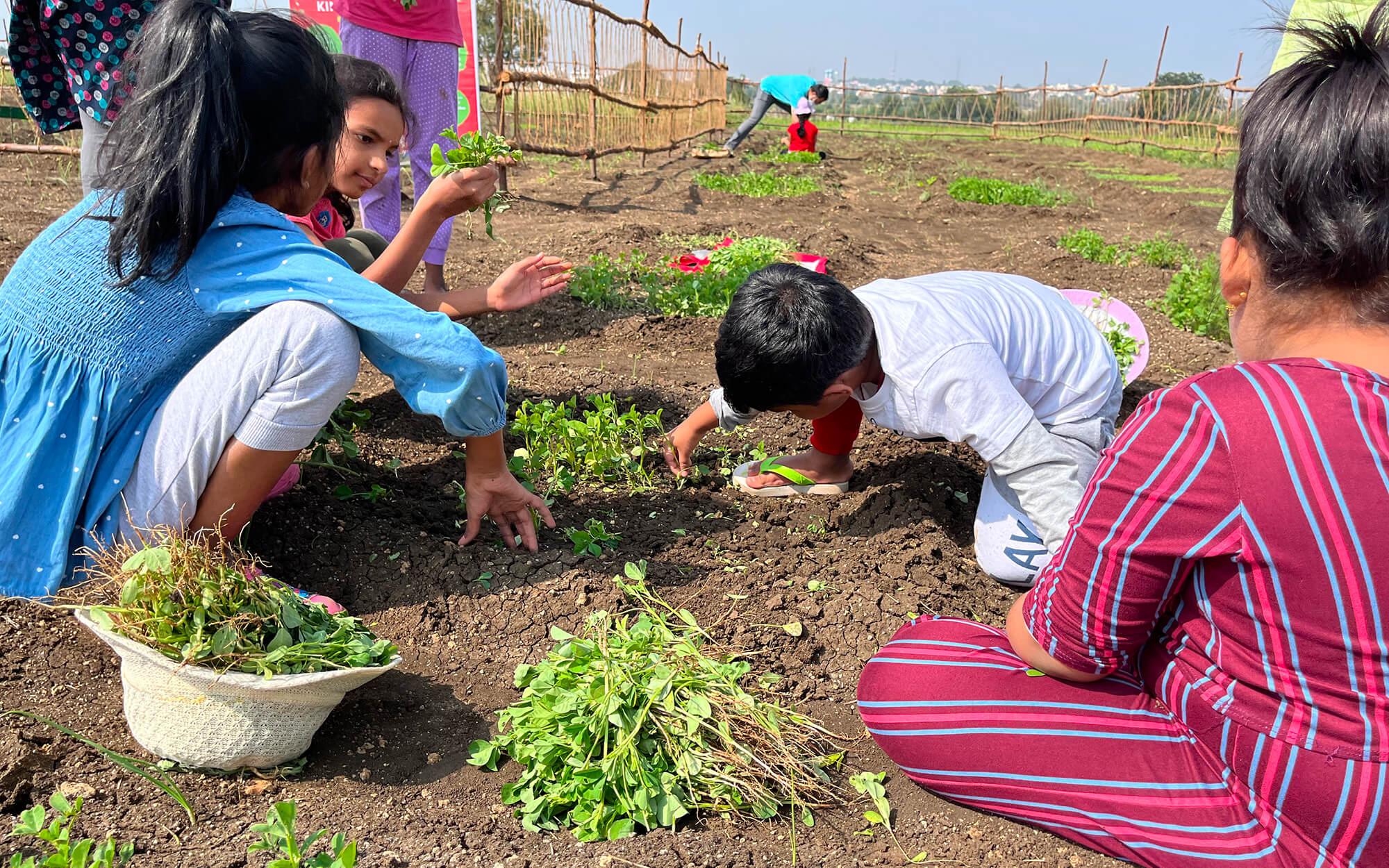 Remembering their Roots in Hyderabad