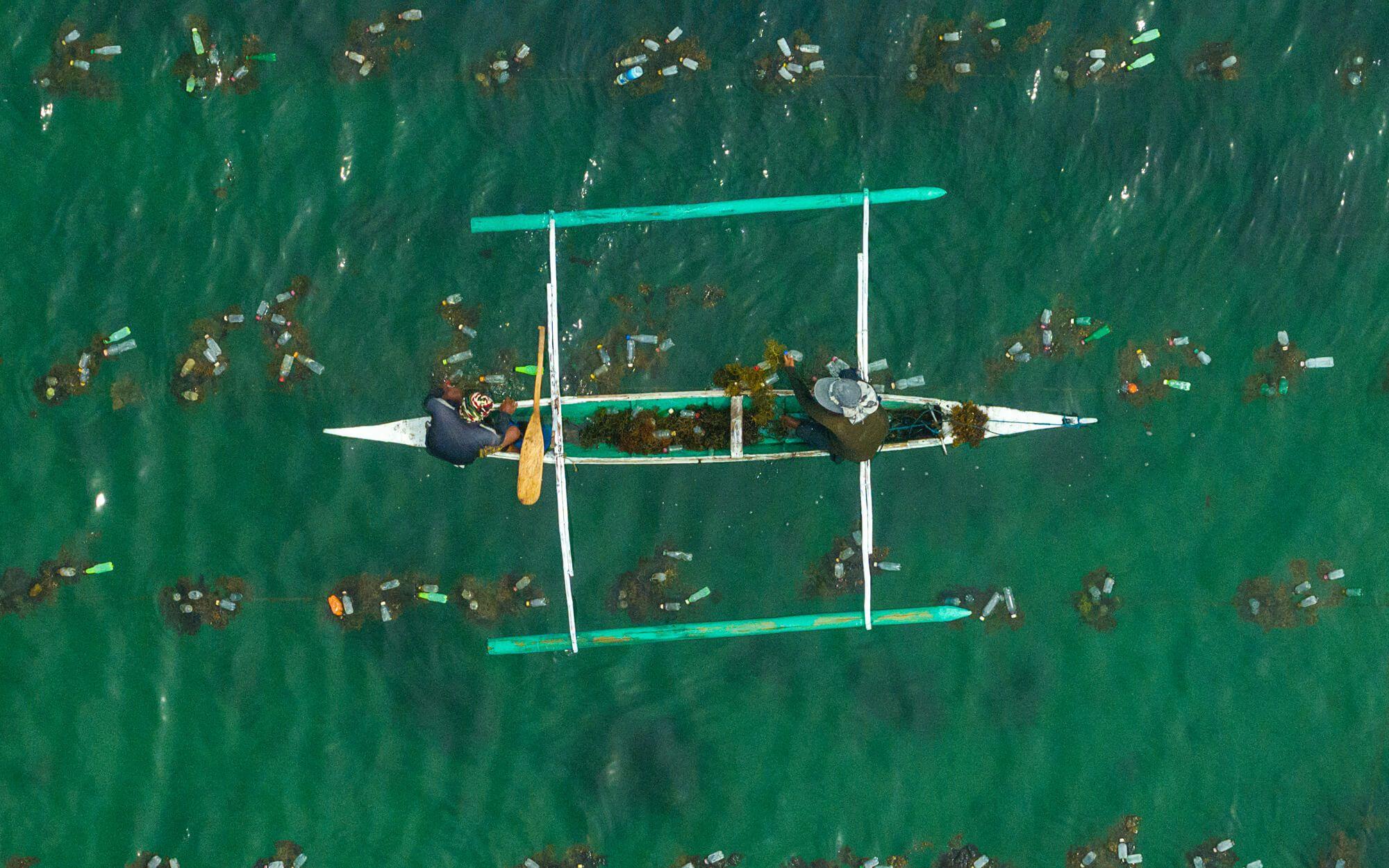 Coast 4C sources high-quality seedlings, provides advanced farming technologies, and supports farm management in the Philippines.
Photo: Coast 4C