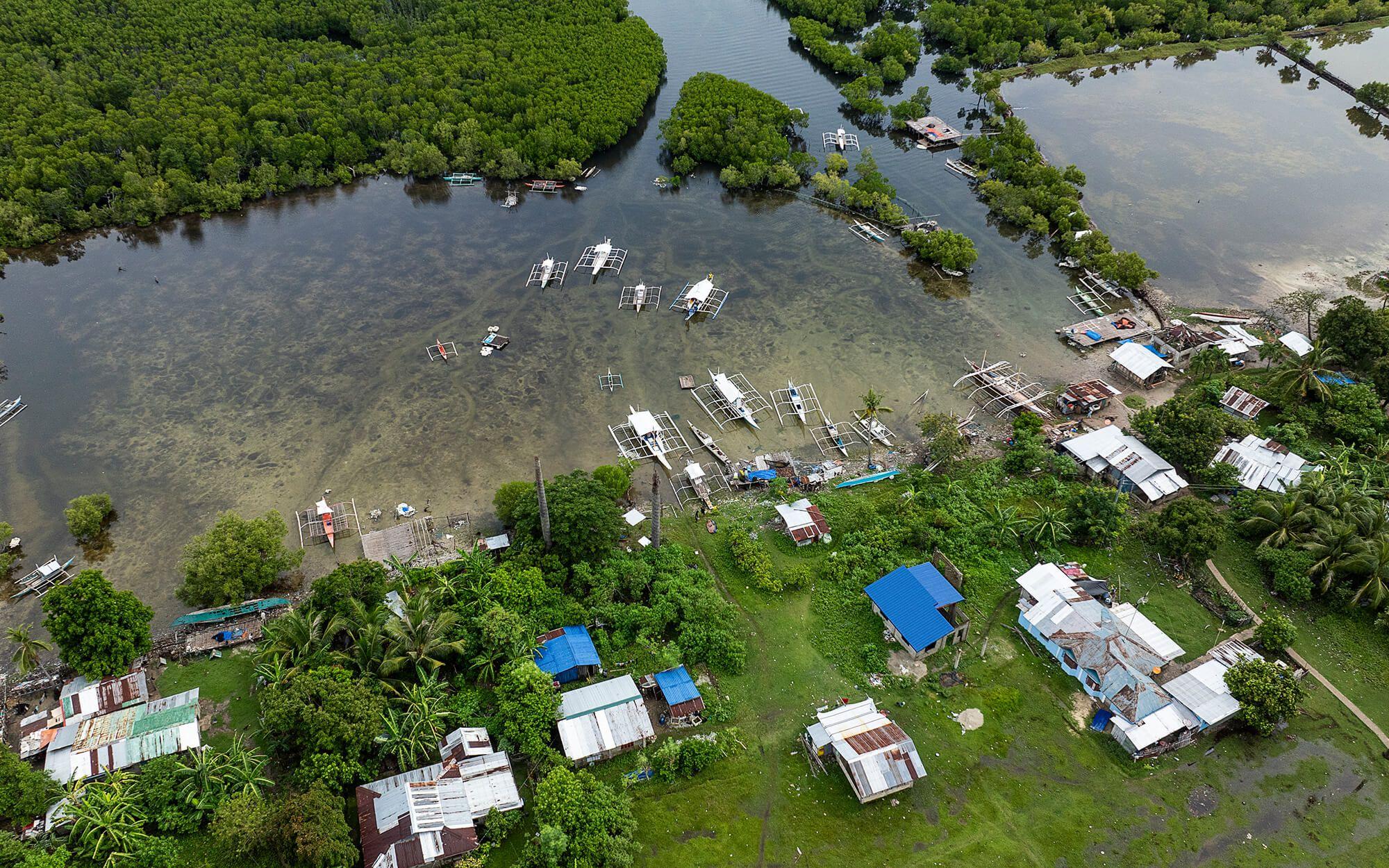 Coast 4C's has also been instrumental in creating Integrated Marine Protected Areas (iMPAs) that are 45 times larger than the Philippines' national average. These aren't just no-fishing zones - they're living, productive ecosystems.
Photo: Coast 4C