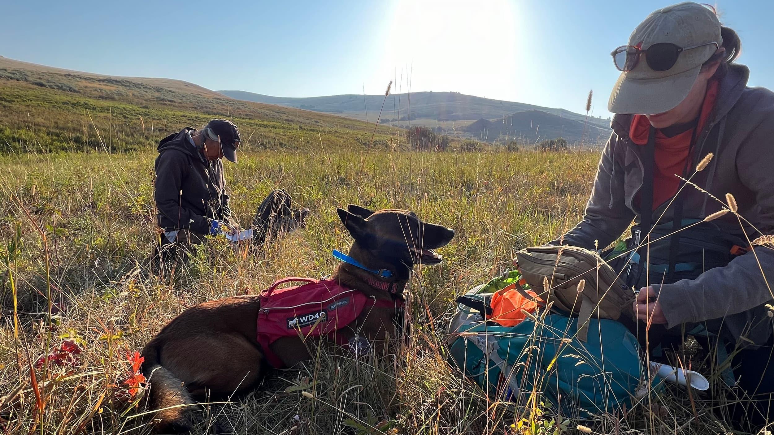 Four Paws for the Earth, One Nose for the Future