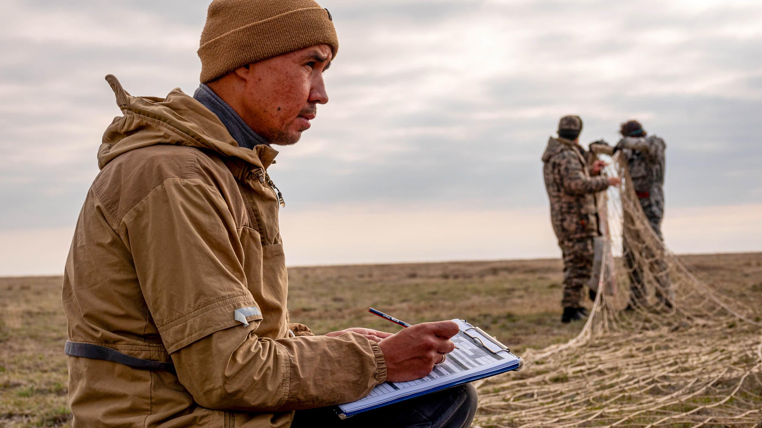 Albert Salemgareyev at work collaring saiga antelope. From over a million individuals in the mid-20th century, saiga antelope numbers had crashed to just 40,000 by 2005.
Photographer: Abduaziz Madyarov
