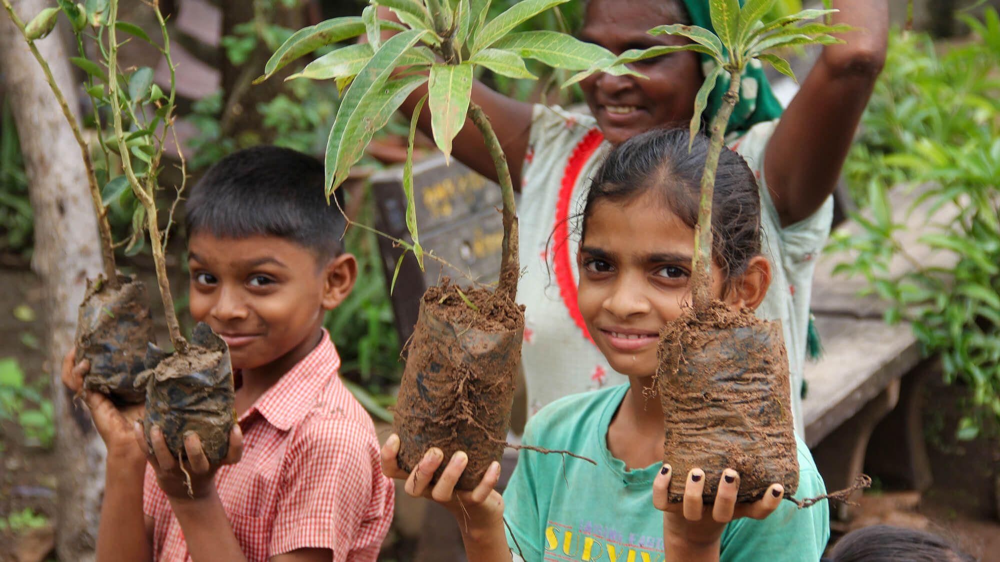 VIKALP also focuses on women's empowerment, providing training and equitable business opportunities for women through their Bhoomi Producers’ Initiative, which now has more than 5,000 families as members. 
Photo: Vikalp
