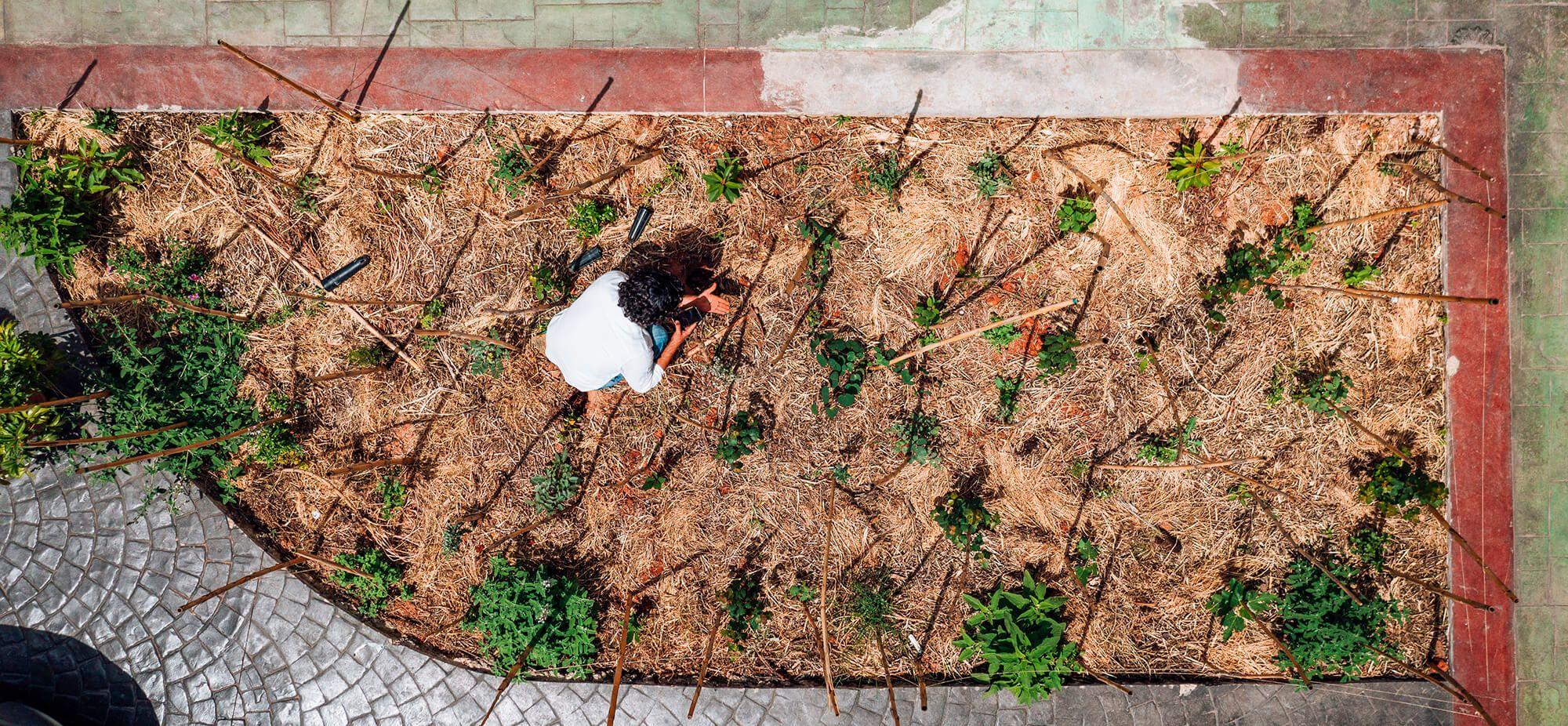 Building for Life Among the Ruins
