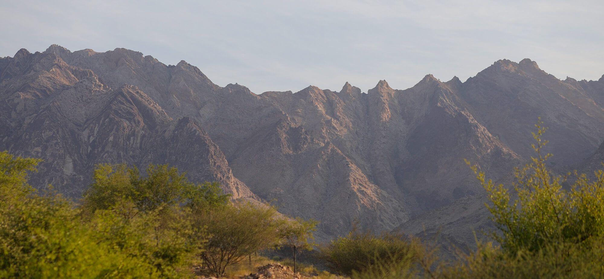 We Need to Talk About Climate Anxiety