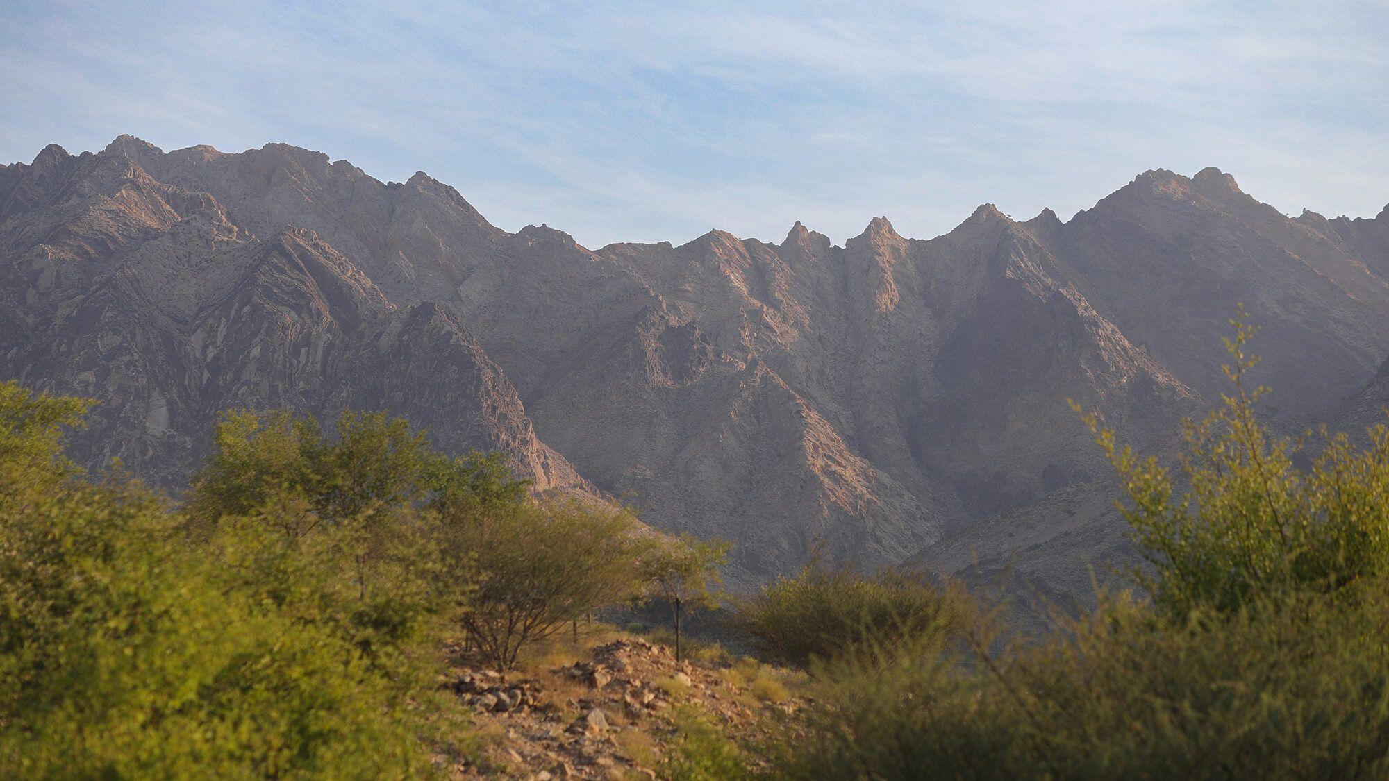 Based in Michigan, USA, clinical psychologist Laura Robinson works to preserve the environment and provide mental health support for eco-anxiety.
Photo: The Climate Tribe