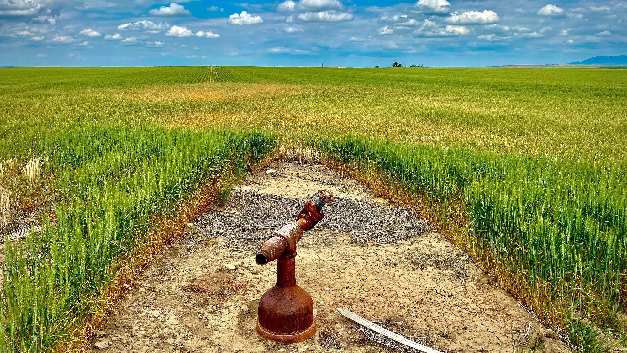 The Well Done Foundation is on a mission to leave the environment better than they found it, all by plugging old oil wells.
Photo: The Well Done Foundation