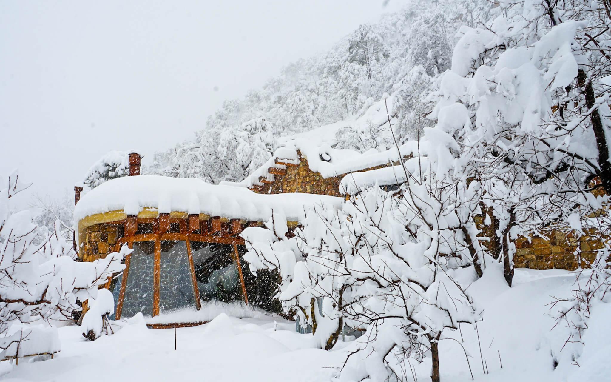 لايف هاوس عندما أصبح شفقة من الطبيعة
المصدر: لايف هاوس 