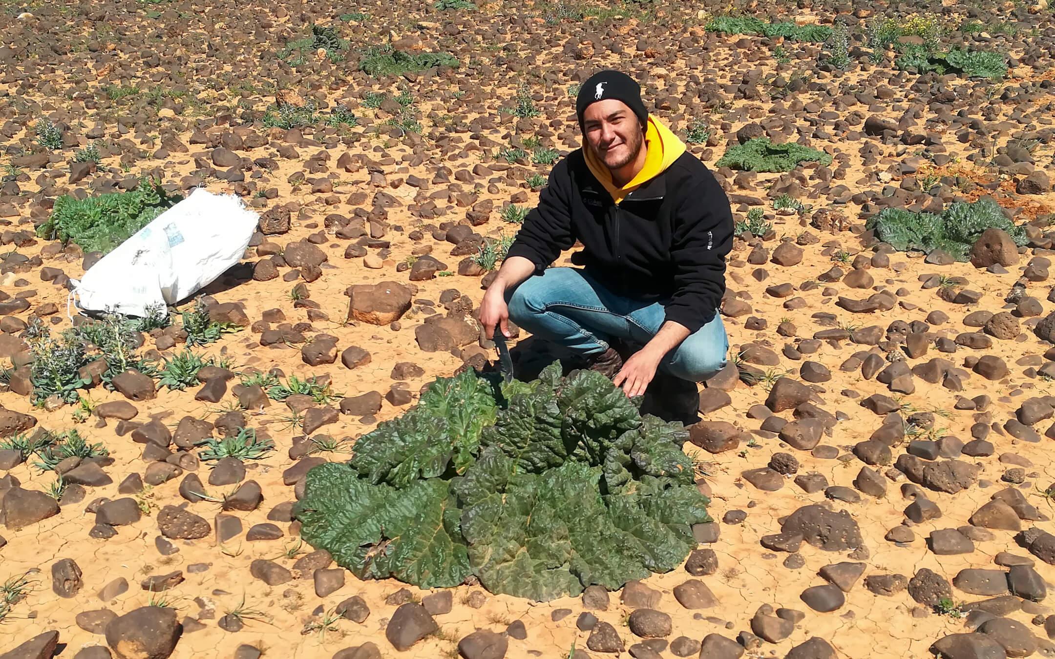 عمر الحلبي مع نبات العطرفان 
المصور: عمر الحلبي