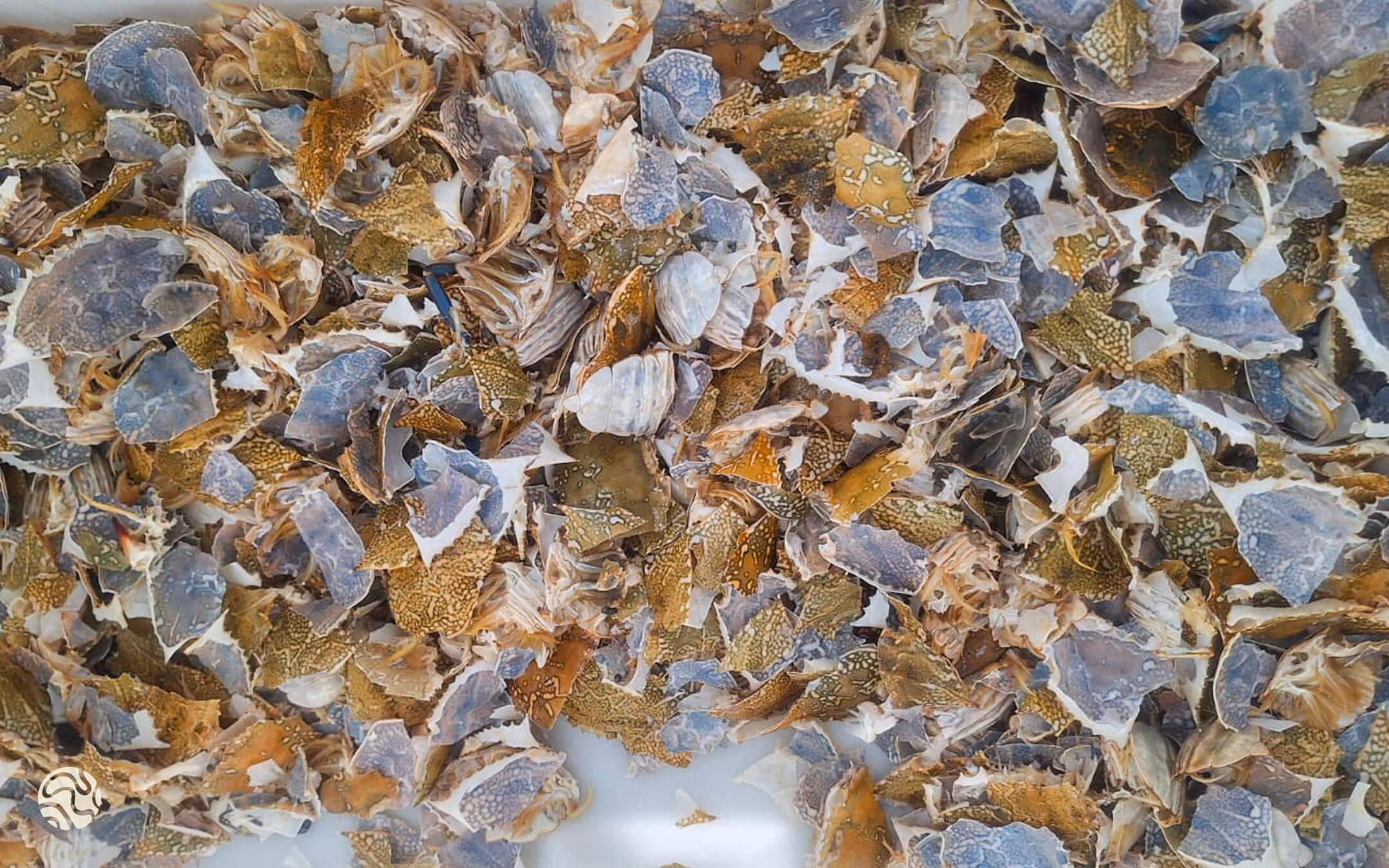 مخلفات السرطان بعد تقشيره
المصدر: أنيس بن غالية