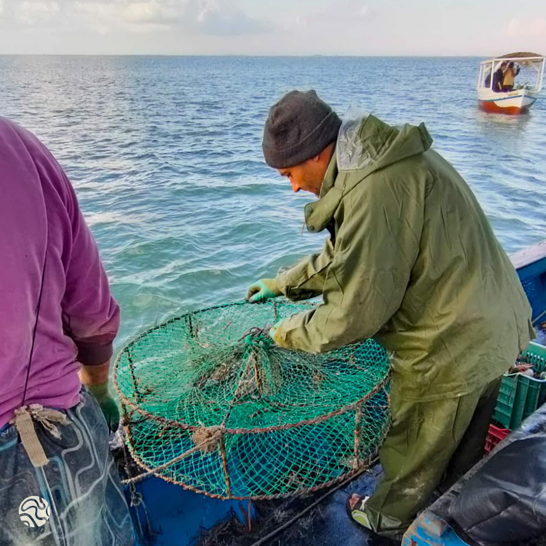 صيادون تونسيون يصيدون باستخدام الأقفاص للحصول على كمية كبيرة من السرطان الأزرق 
 المصدر: نادر بن الحاج حميدة، باحث بالمعهد الوطني لعلوم وتكنولوجيا البحار بصفاقس (تونس) 