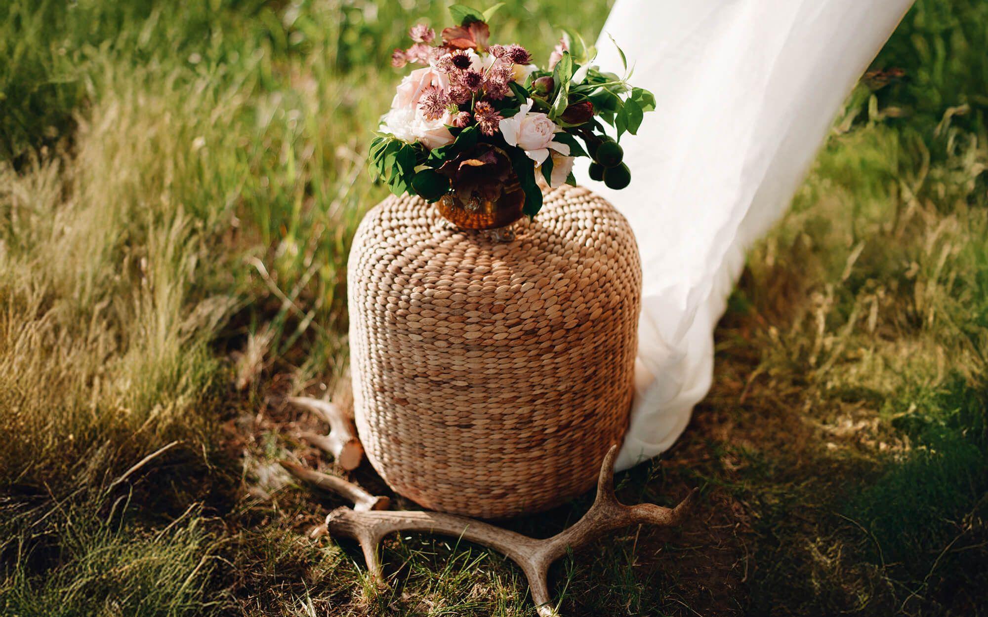 المصدر: ذا كلايمت ترايب  