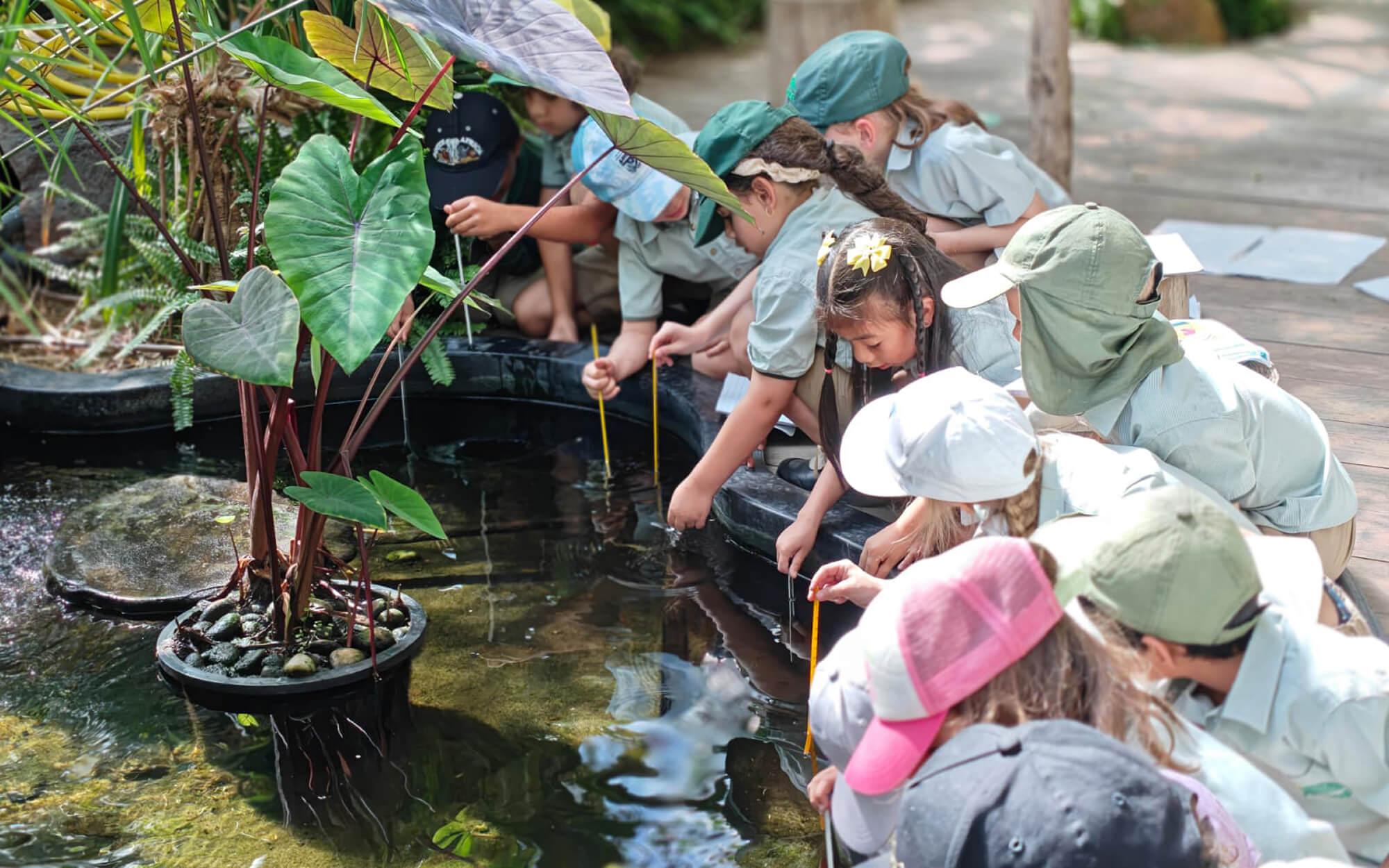 At the heart of the campus are three striking biodomes—part classroom, part research lab, and all inspiration.
Photo: The Arbor School