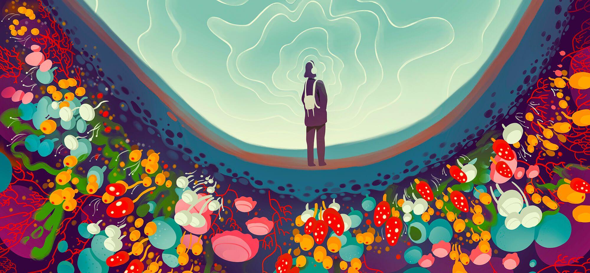 The Case of the Missing Lake