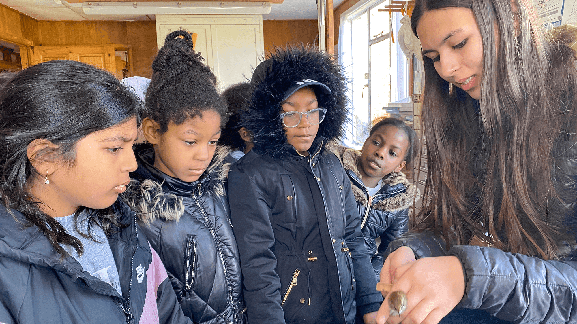 Mya-Rose also organised the Race Equality in Nature Conference, where communities discussed poor public transport links, the difficulty of accessing green spaces and the fear of hate crime, microaggression or racial profiling.
Photo: Black2Nature
