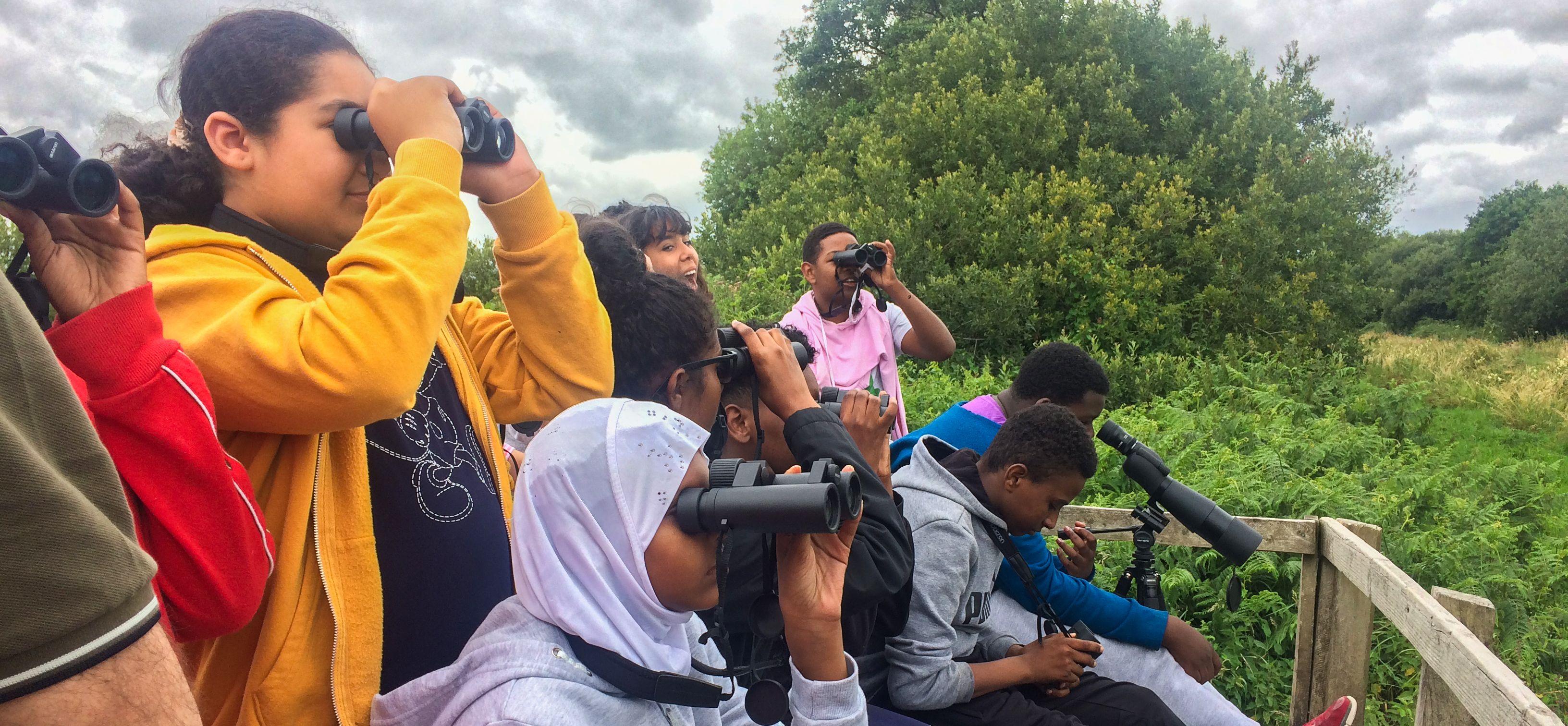 Gazing at the Skies with Birdgirl