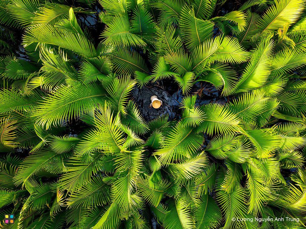 Roots of Resilience