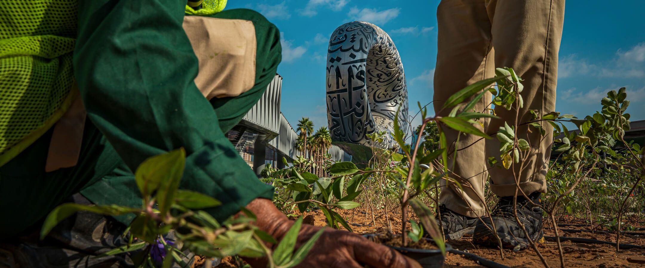 مساحات خضراء