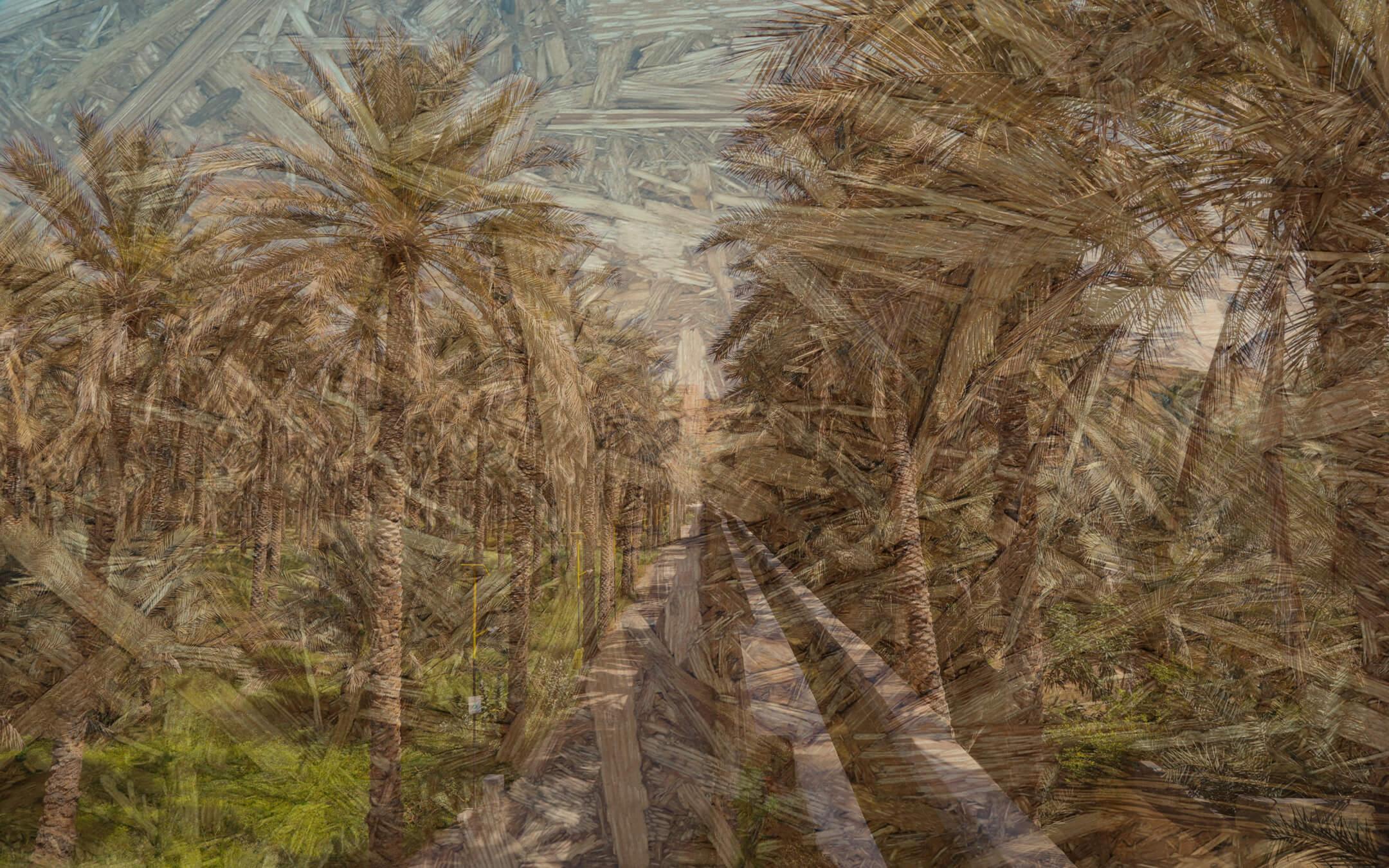 طبقات التنوع البيولوجي