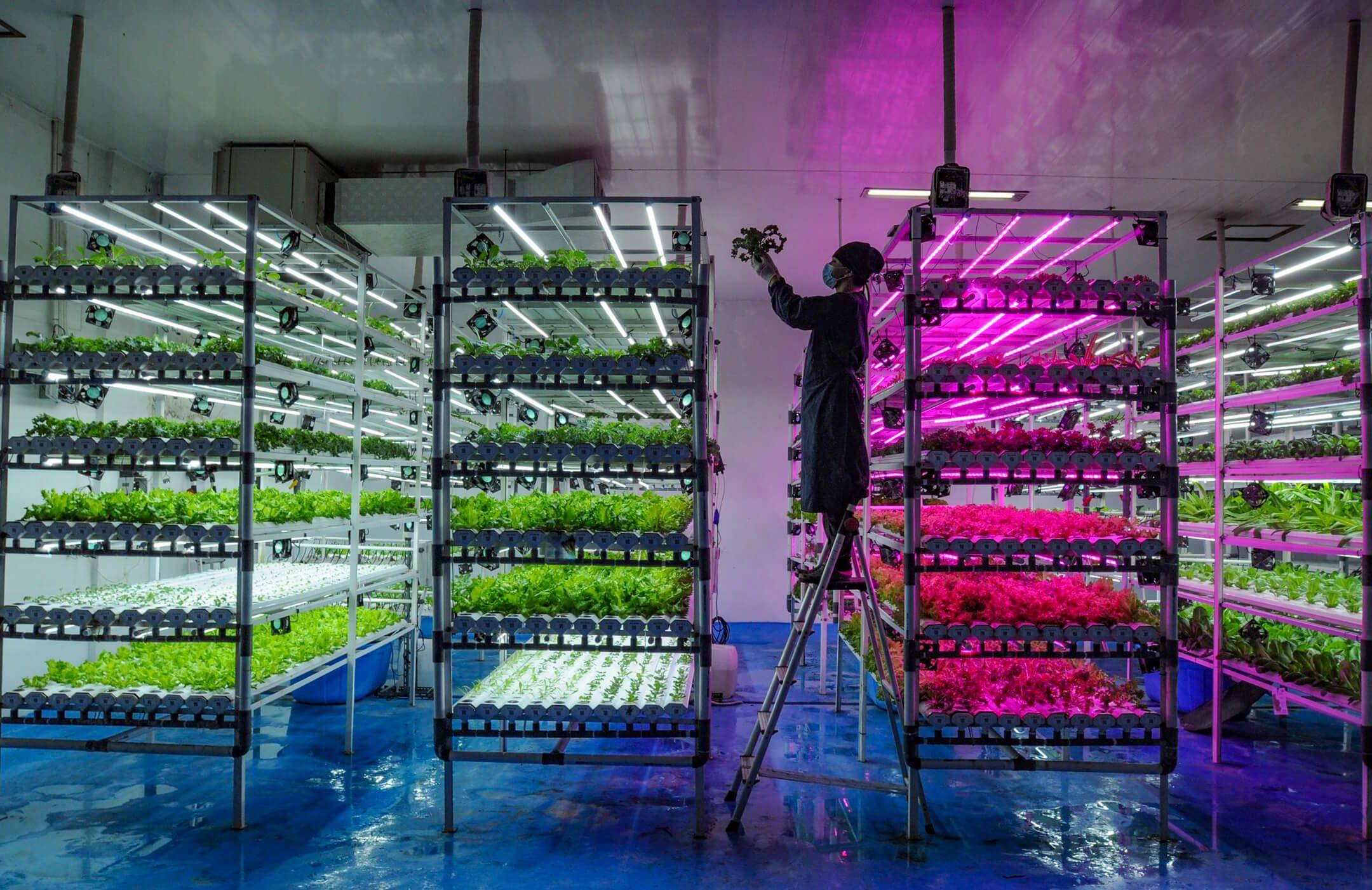 حدائق المستقبل