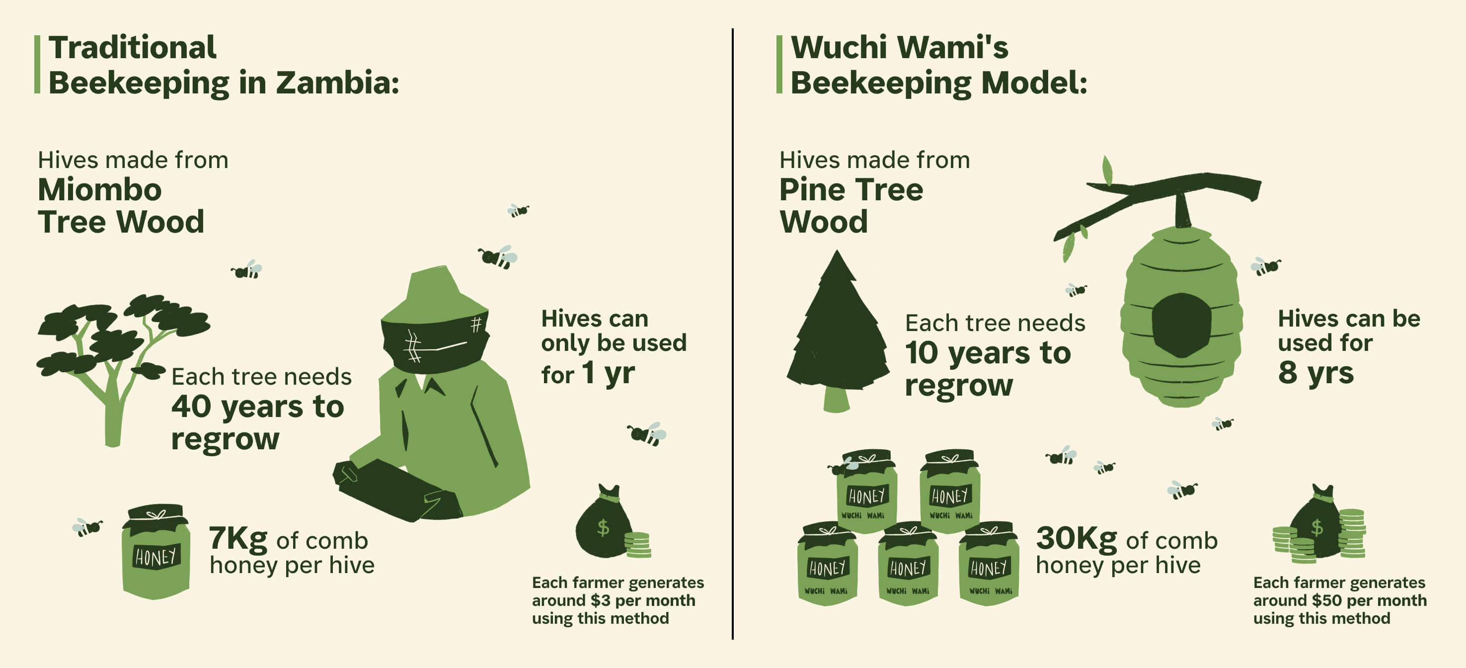 Wuchi Wami’s beekeeping utilises sustainable methods to increase production while preserving local Miombo trees.
Infographic: The Climate Tribe