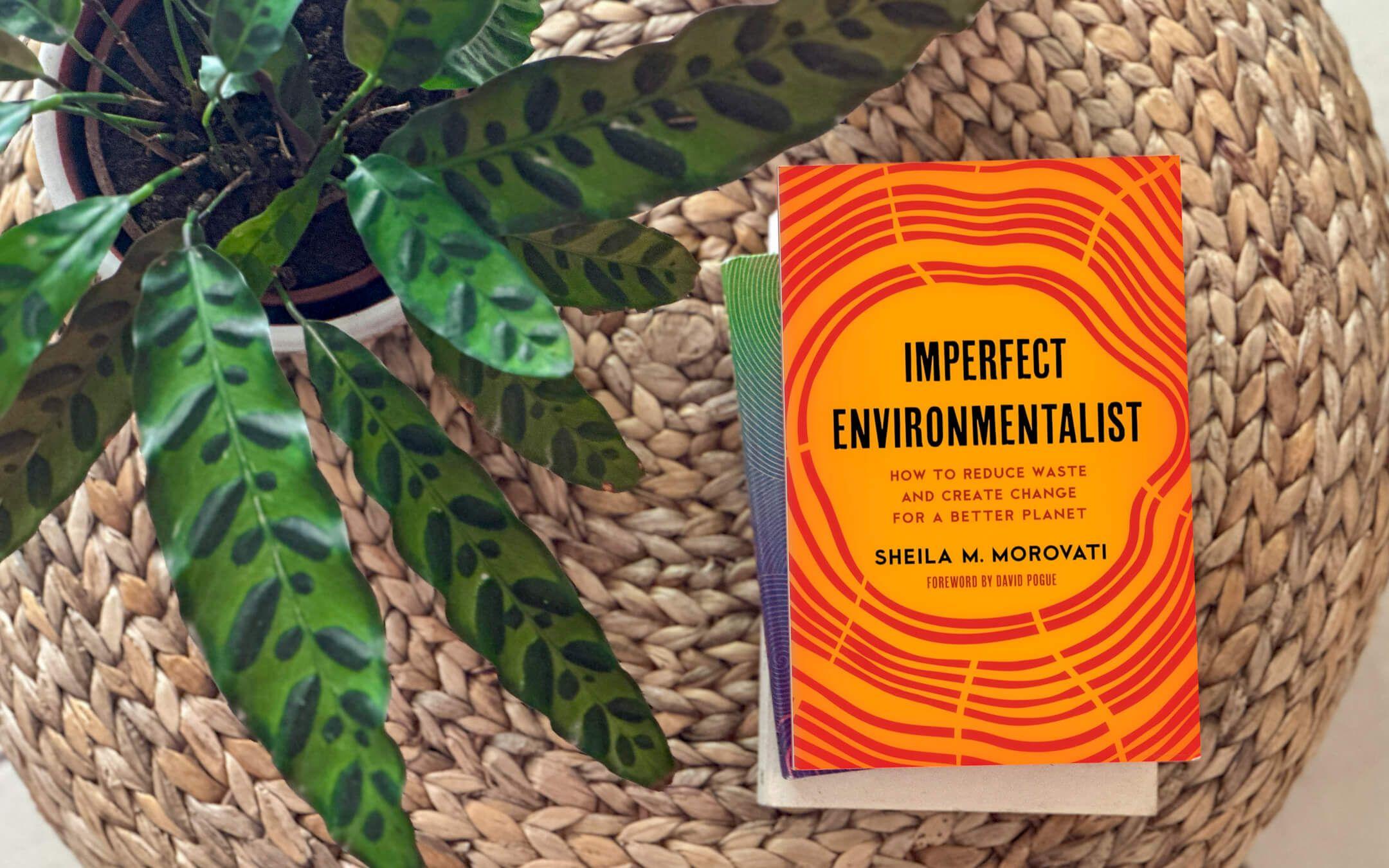 A how-to guide for the imperfect but curious, budding environmentalist.
Photographer: Sheila Morovati