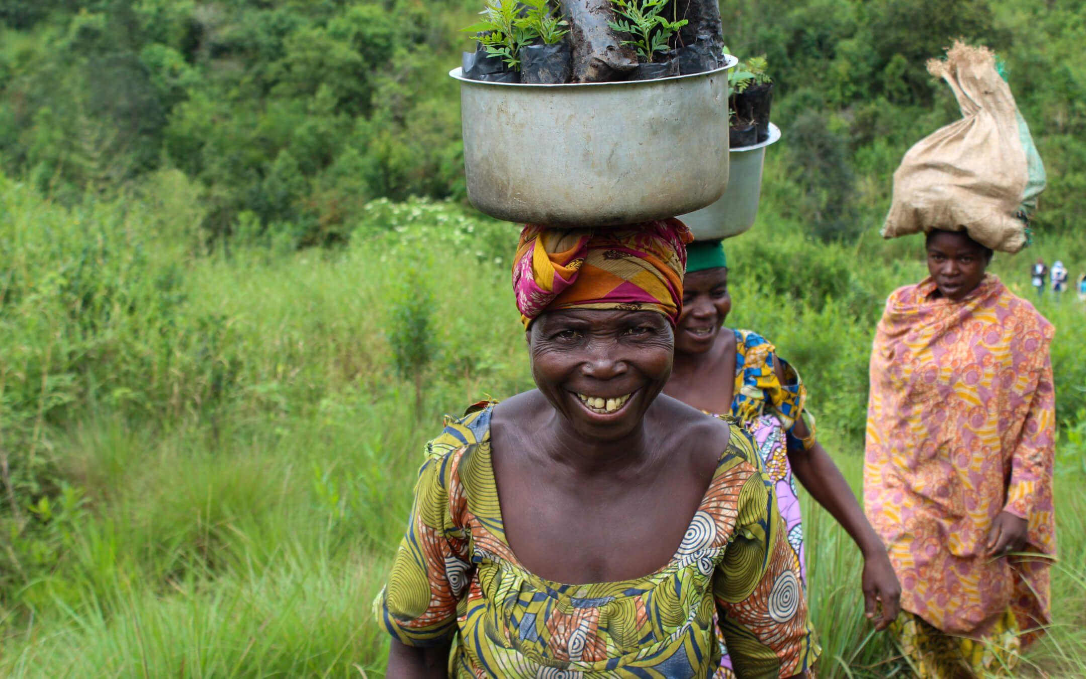 The Congo Basin’s lush forests, known as the ‘lungs of Africa’, absorb six times more CO2 than the Amazon. Reforestation and preservation efforts are crucial.
Photo: Hero Women Rising