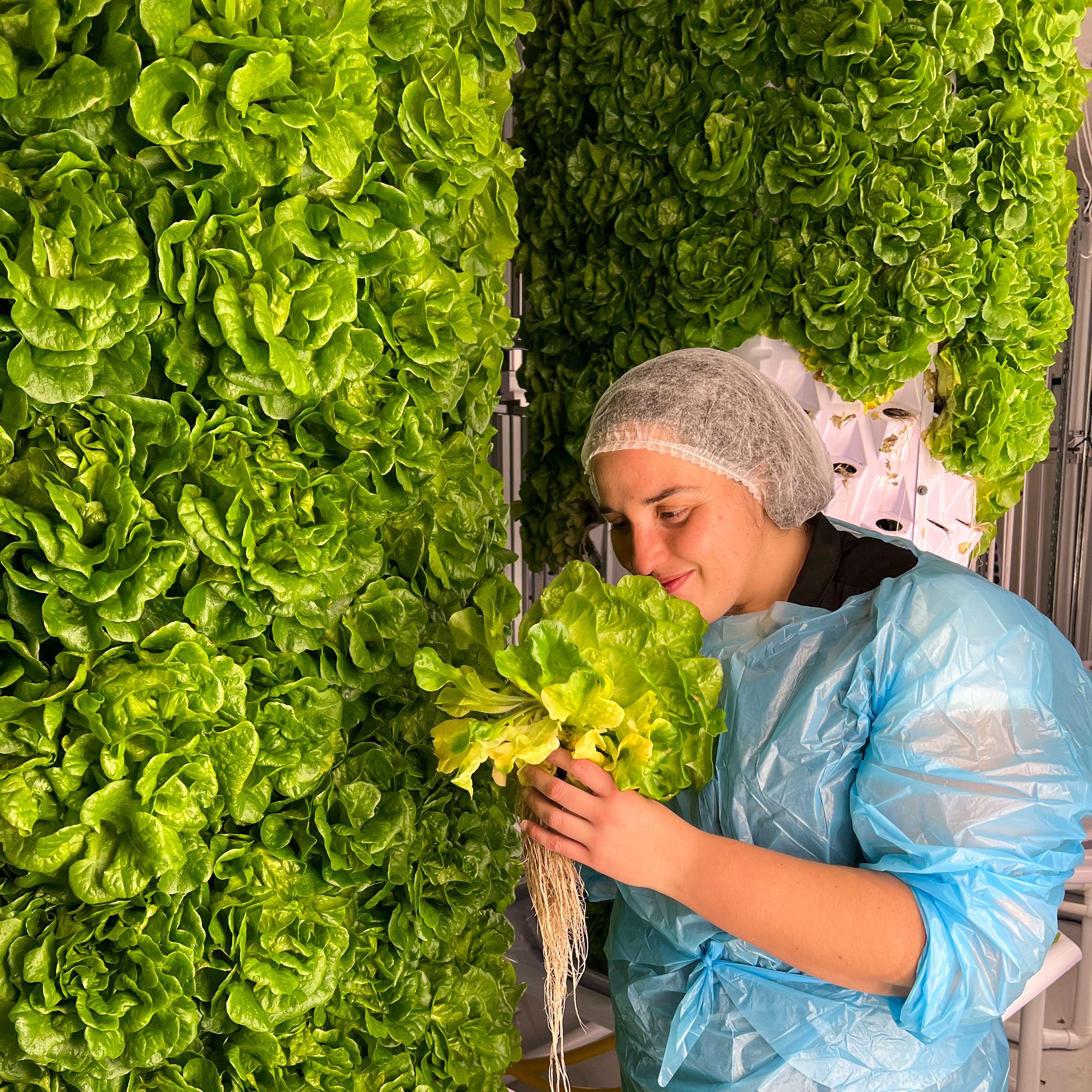 The Food Engine founder Ghita Bahmad decided that the world’s agriculture systems needed reform, and she began to experiment with farming after work.
Photo: The Food Engine