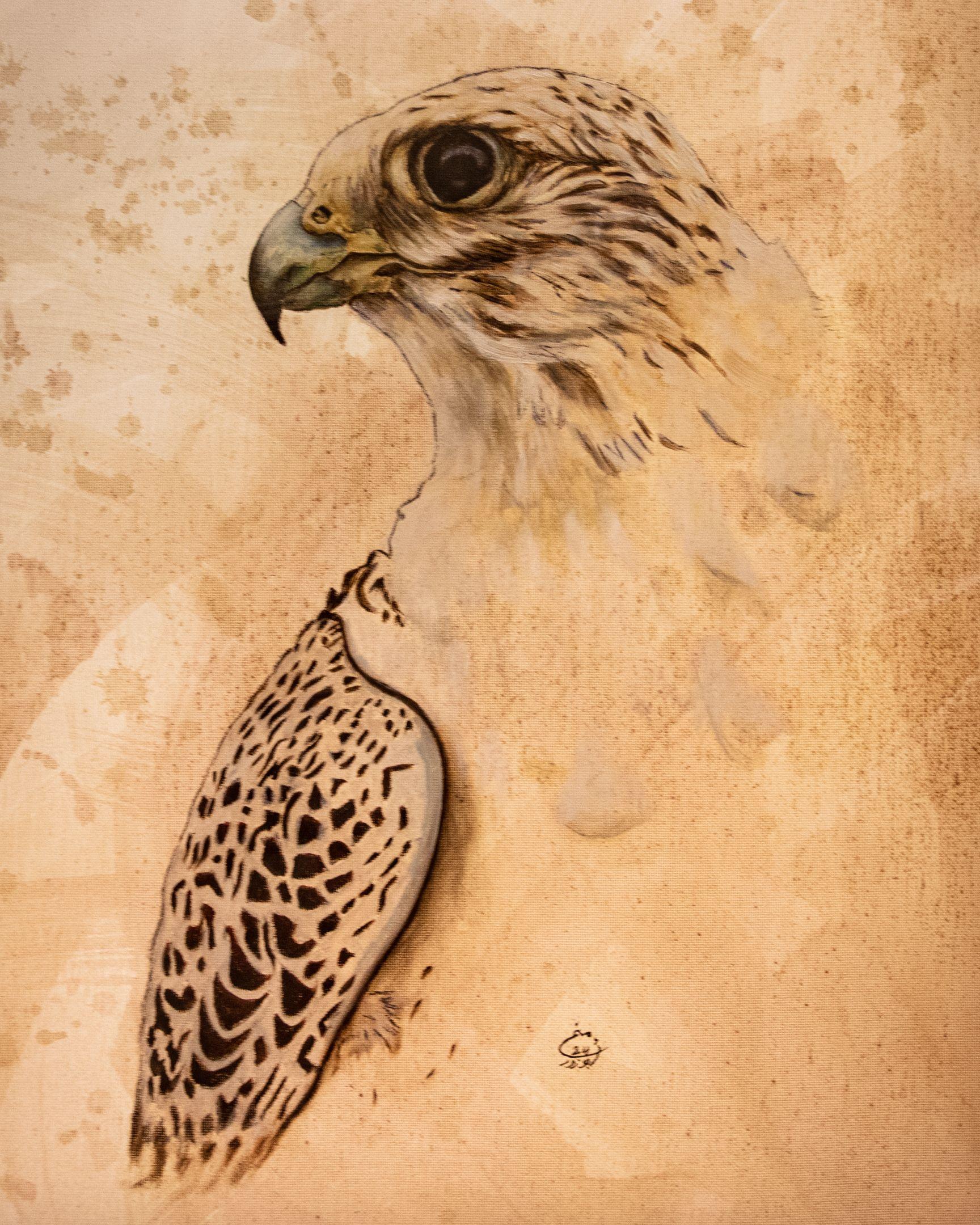 لوحة فنية لأحد الصقور التقطها المصور حمد الغيلاني أثناء تواجده في معرض للطيور والصيد في الدوحة
المصدر: حمد الغيلاني
