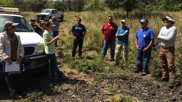 HWMO developed the Firewise Communities Program that aligns deeply with the archipelago's values - meeting families in their homes, joining community events, and building lasting relationships that strengthen resilience.
Photo: Hawaii Wildfire Management Organization