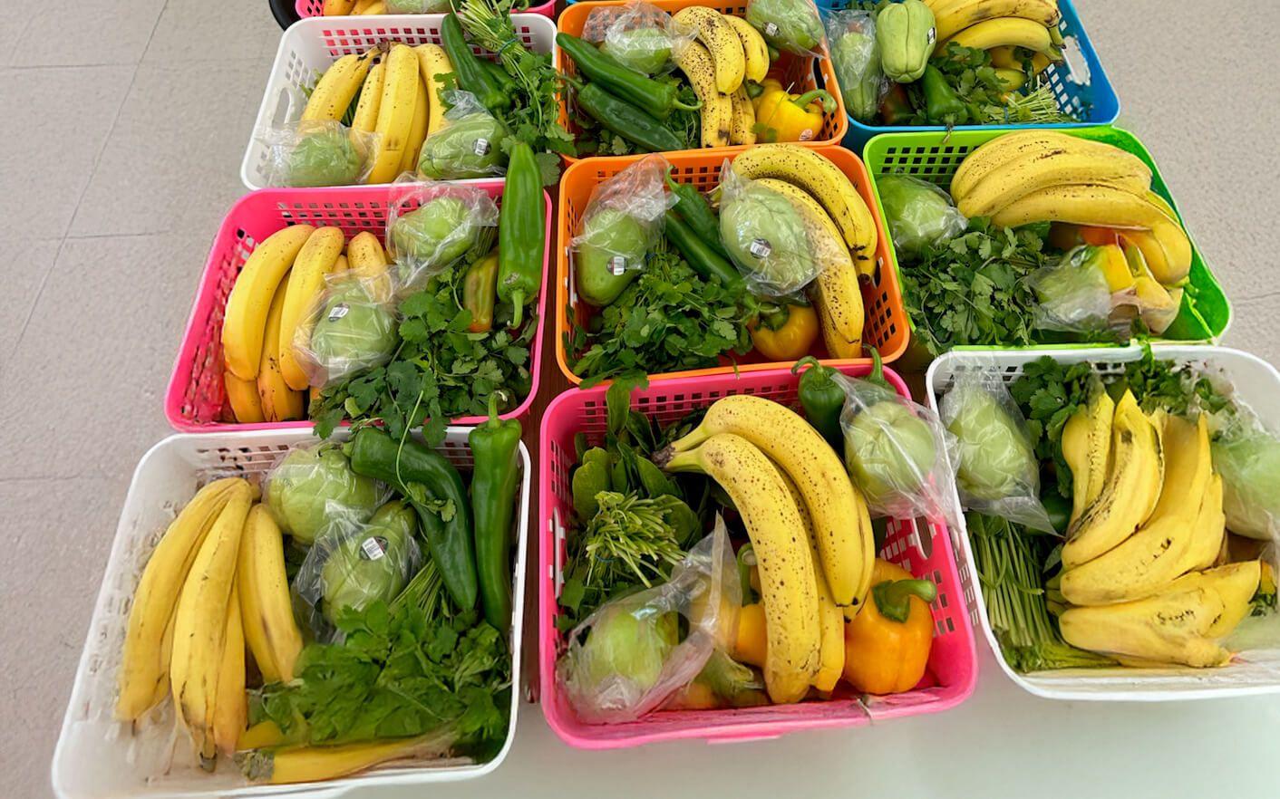 Most rescued food is perishable, requiring immediate distribution through a coordinated network of staff drivers and 200 volunteers who collect and deliver food to nonprofit partners the same day.
Photo: Food Finders