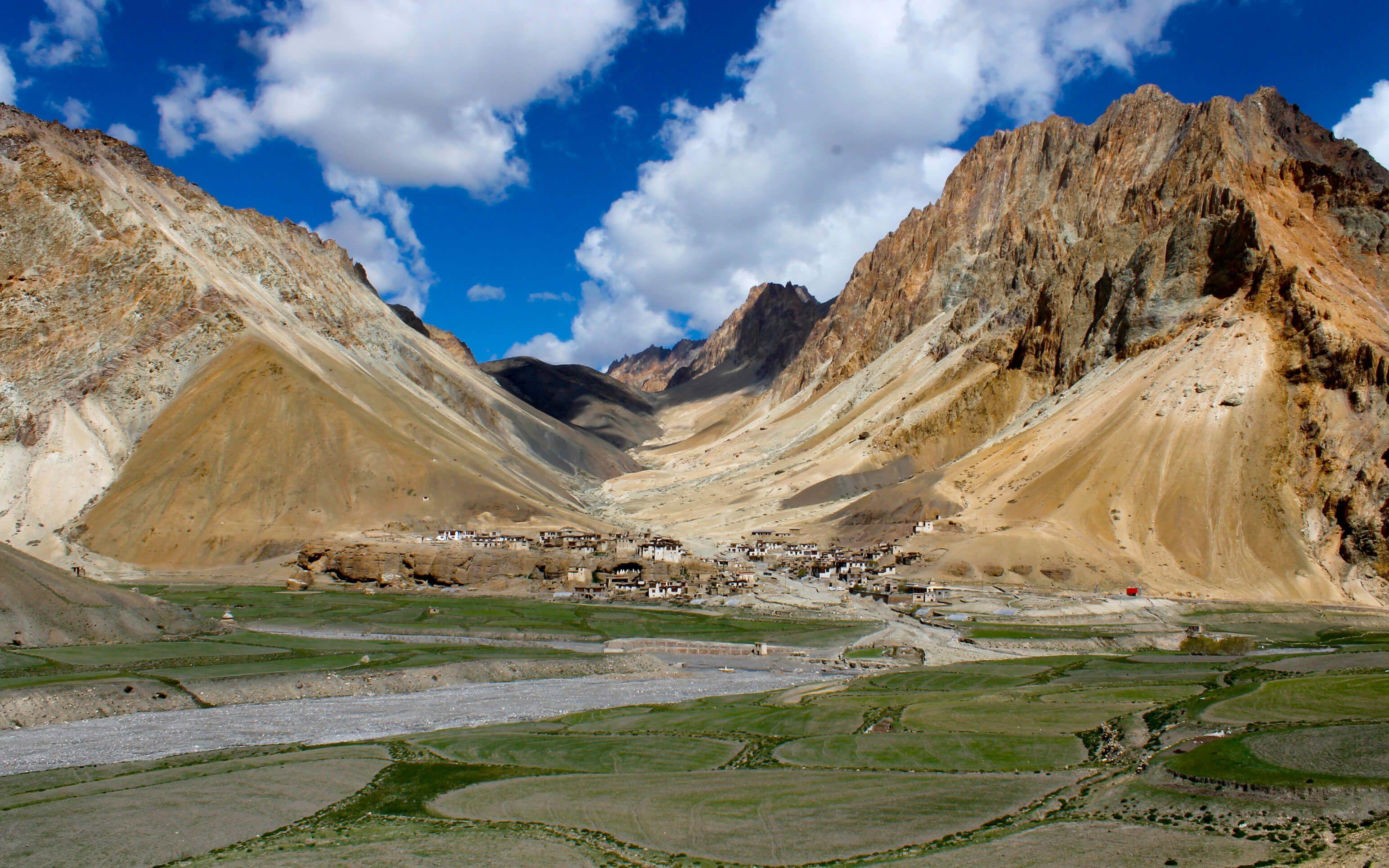 The snow leopard is a keystone species protecting high-altitude ecosystems by controlling the herbivore population.
Photo: Snow Leopard Conservancy - India Trust