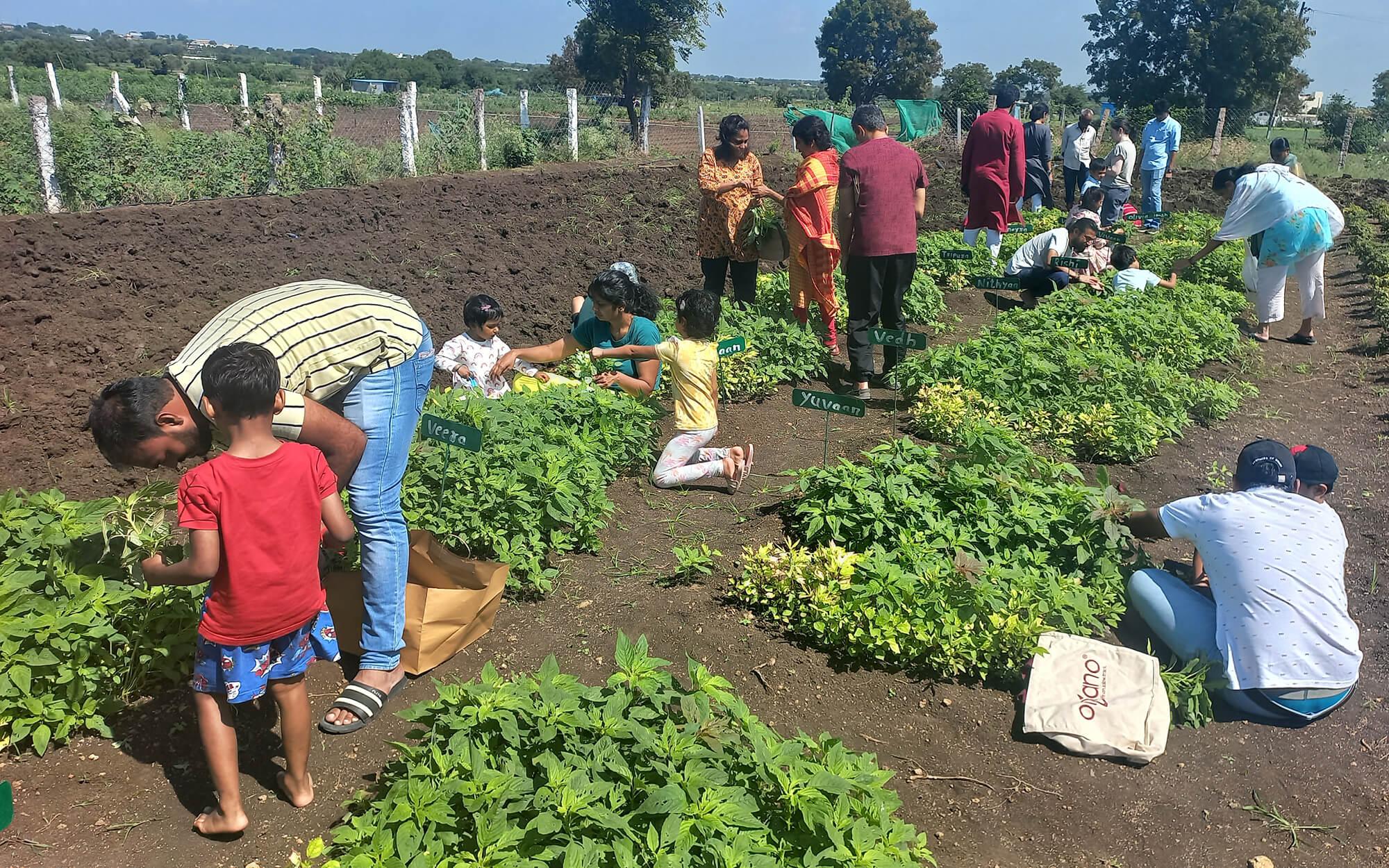 Their vision for the future of Organo Et School is ambitious: a knowledge hub where diverse stakeholders can share sustainable solutions across all seven areas - air, water, food, shelter, energy, people, and earth.
Photo: Organo Et School