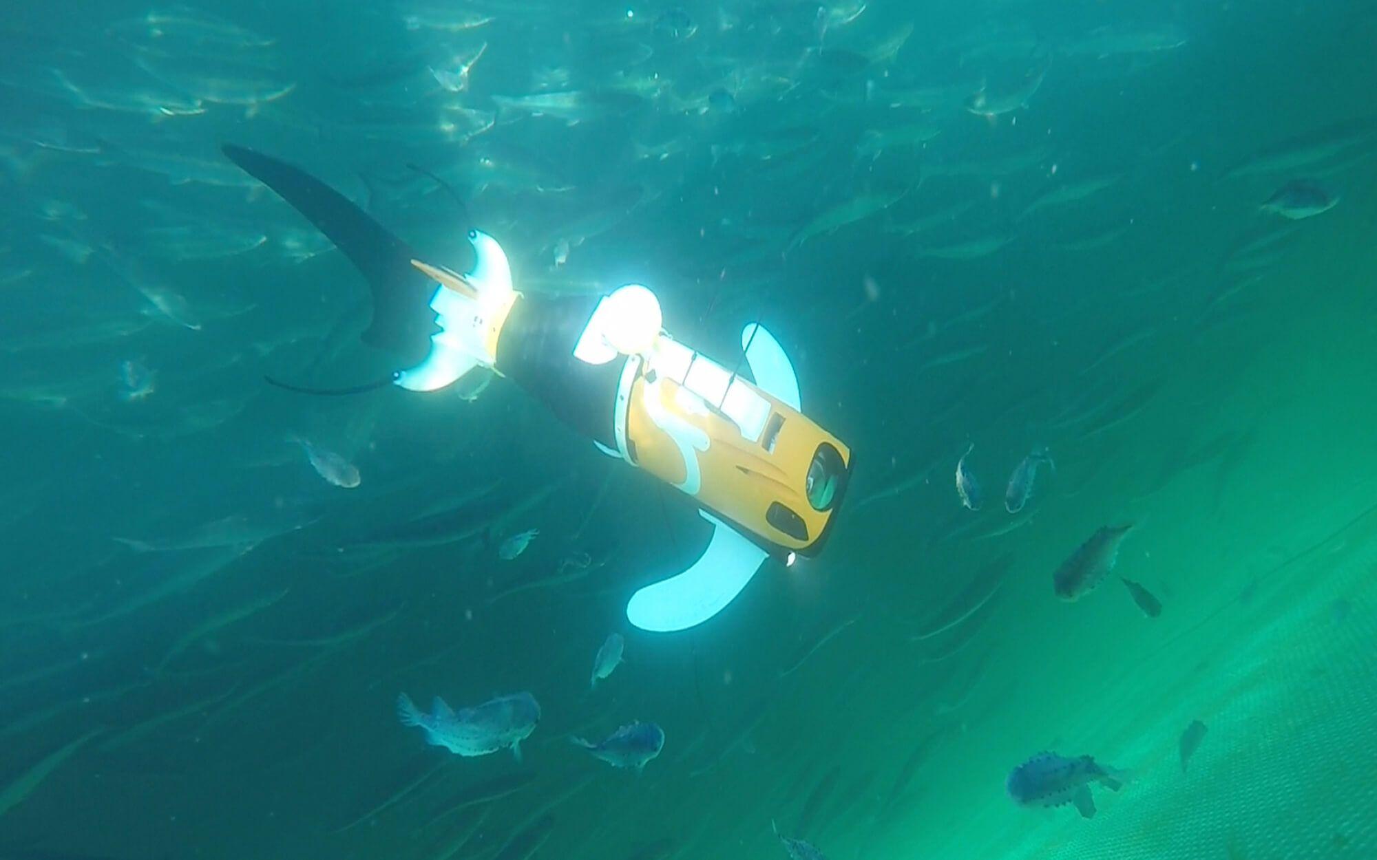 Simeon and Liane’s vision is to see their robotic fish deployed as a ubiquitous tool for all subsurface monitoring.
Photo: Aquaai