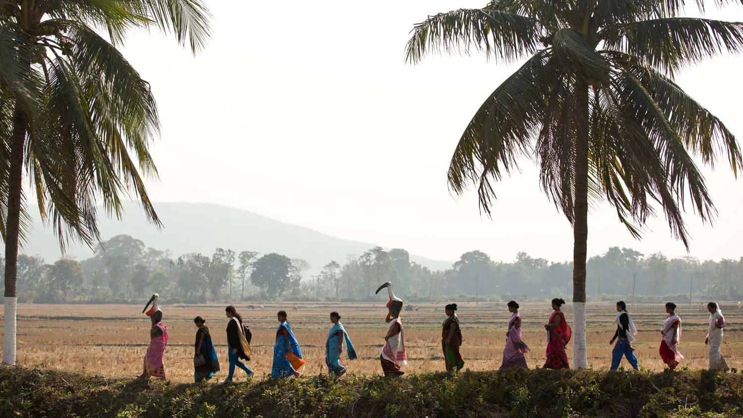 The Hargila Army is rescuing the adjutant story, also known as ‘Hargila,’ and creating a model for women’s empowerment.
Photo: The Hargila Army
