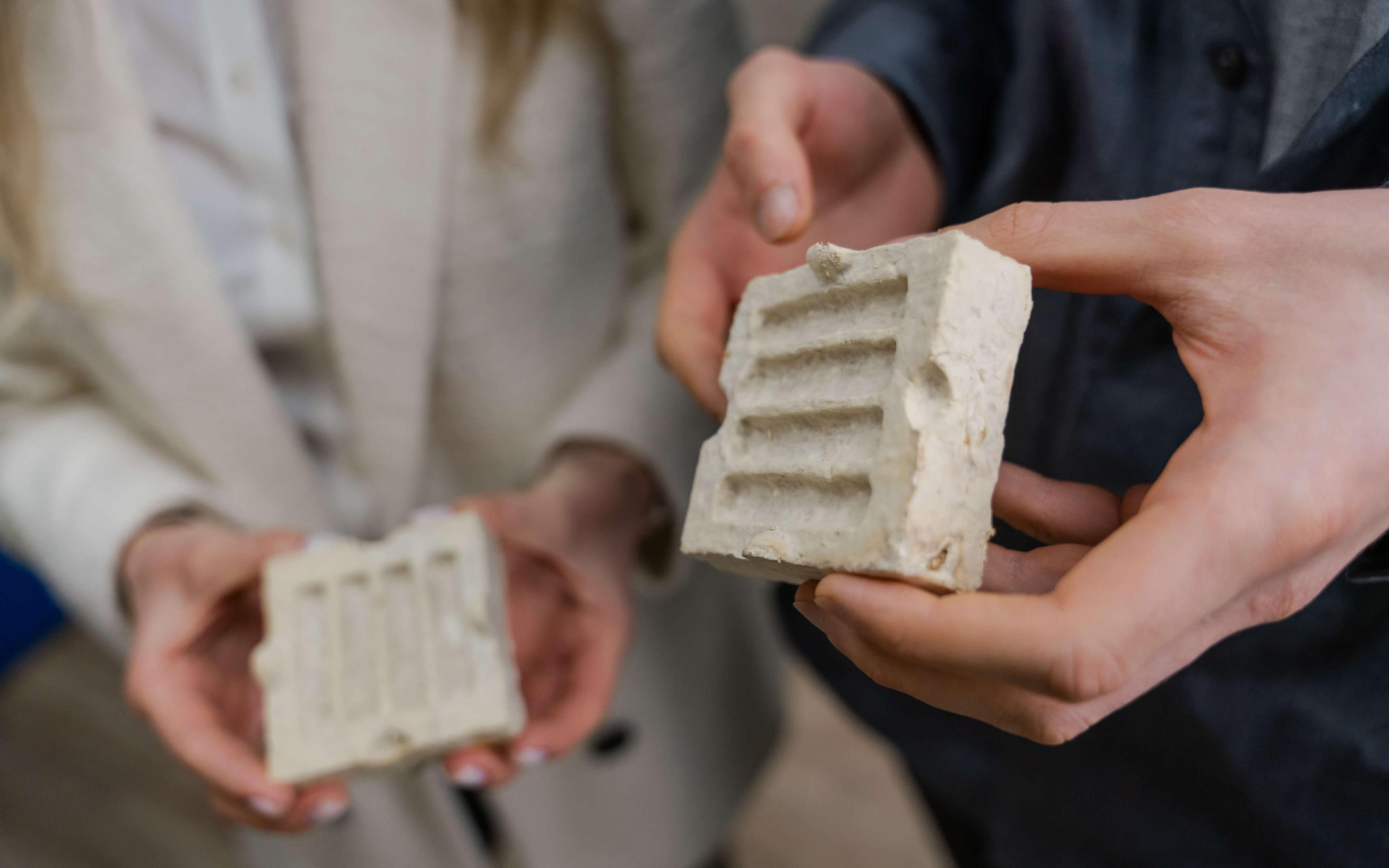 Growing the World’s Packaging with Mycelium